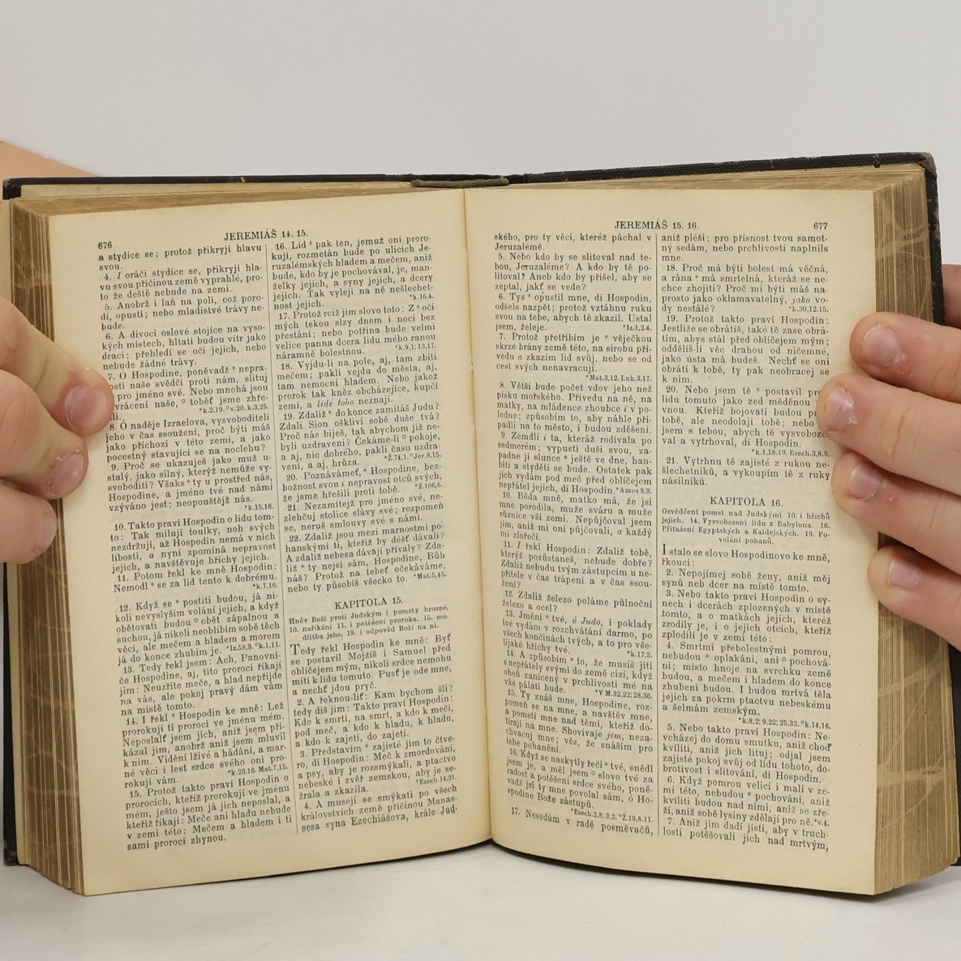 Kolektiv autorů Biblí svatá aneb všecka svatá písma starého i nového zákona