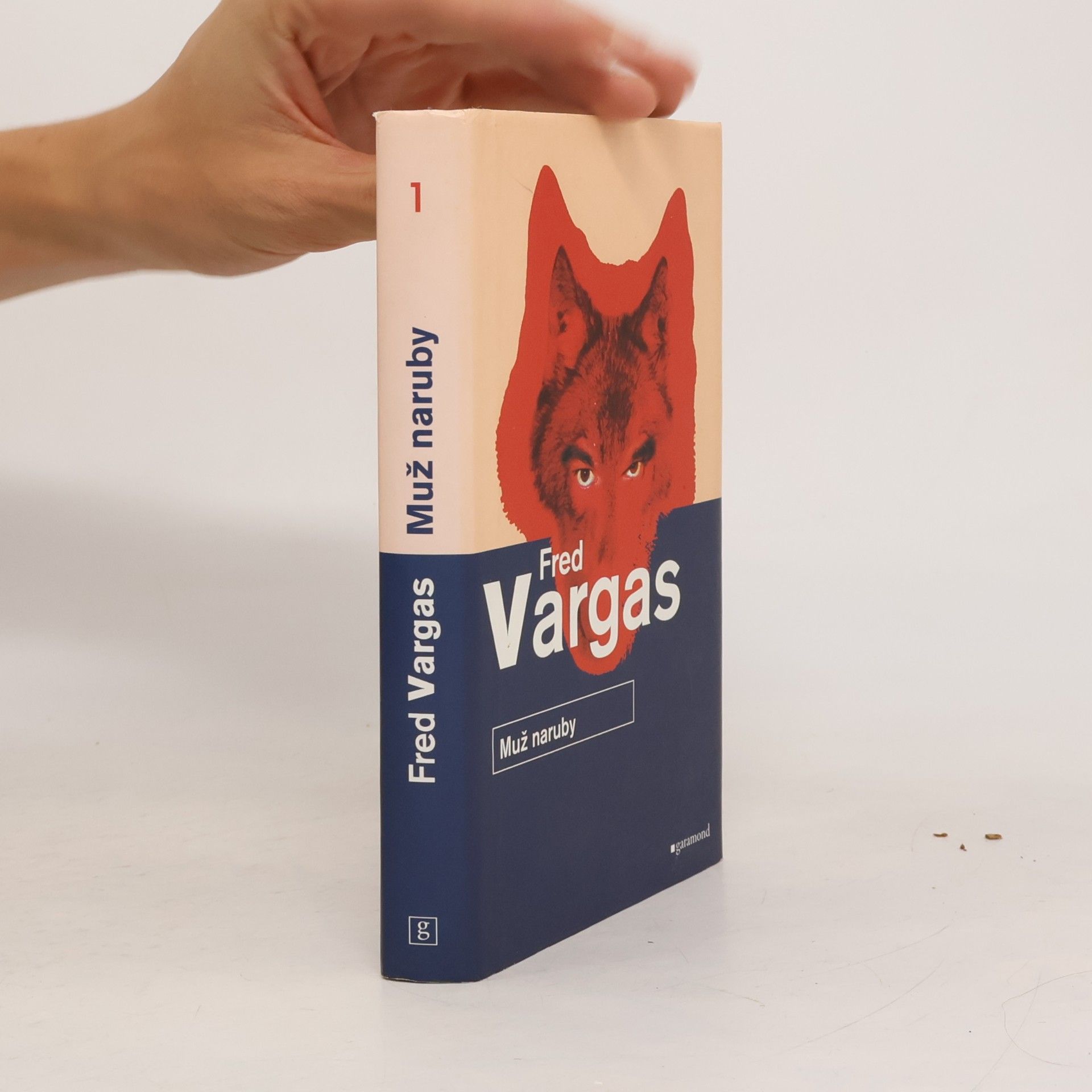 Fred Vargas Muž naruby