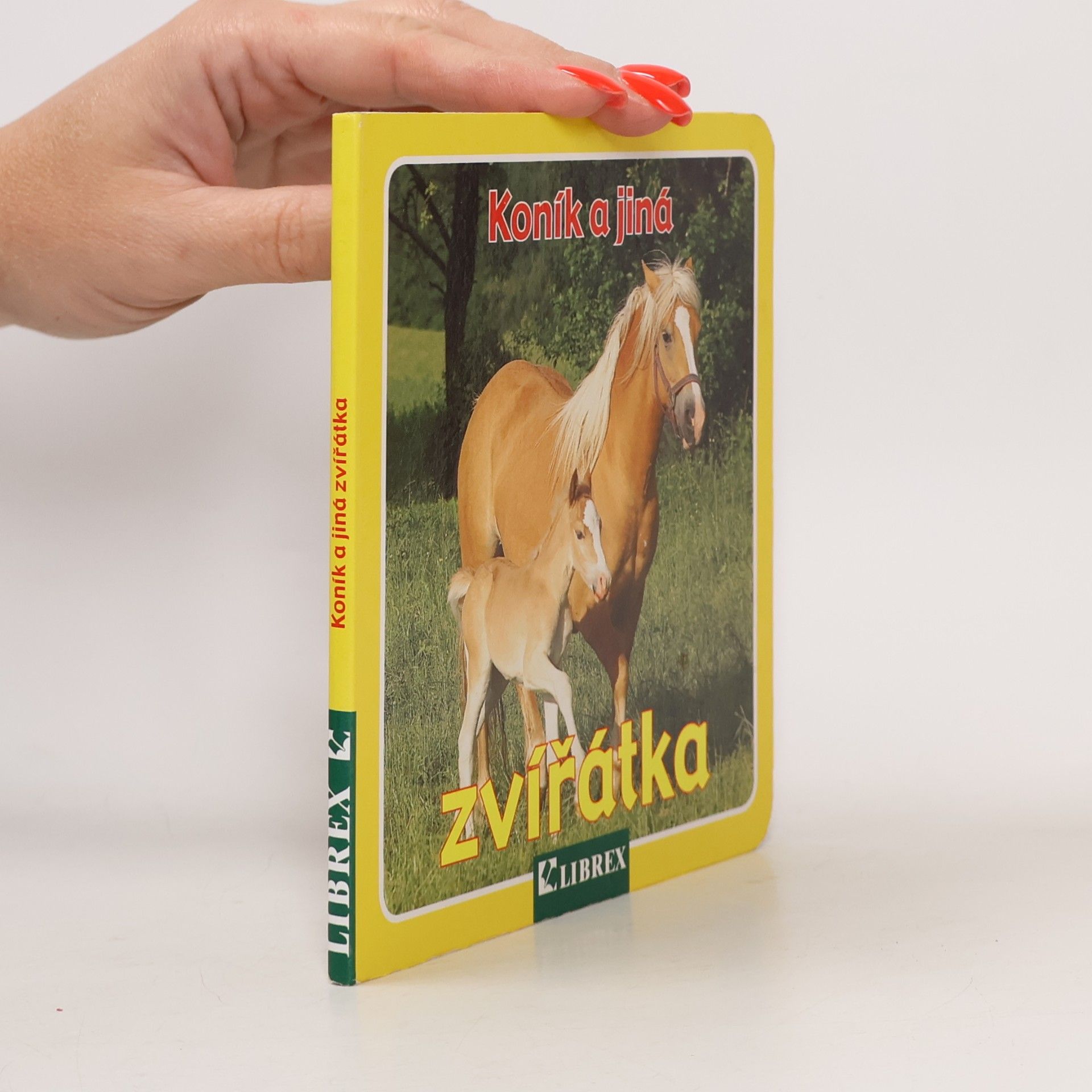 Wolfgang Schleicher Koník a jiná zvířátka