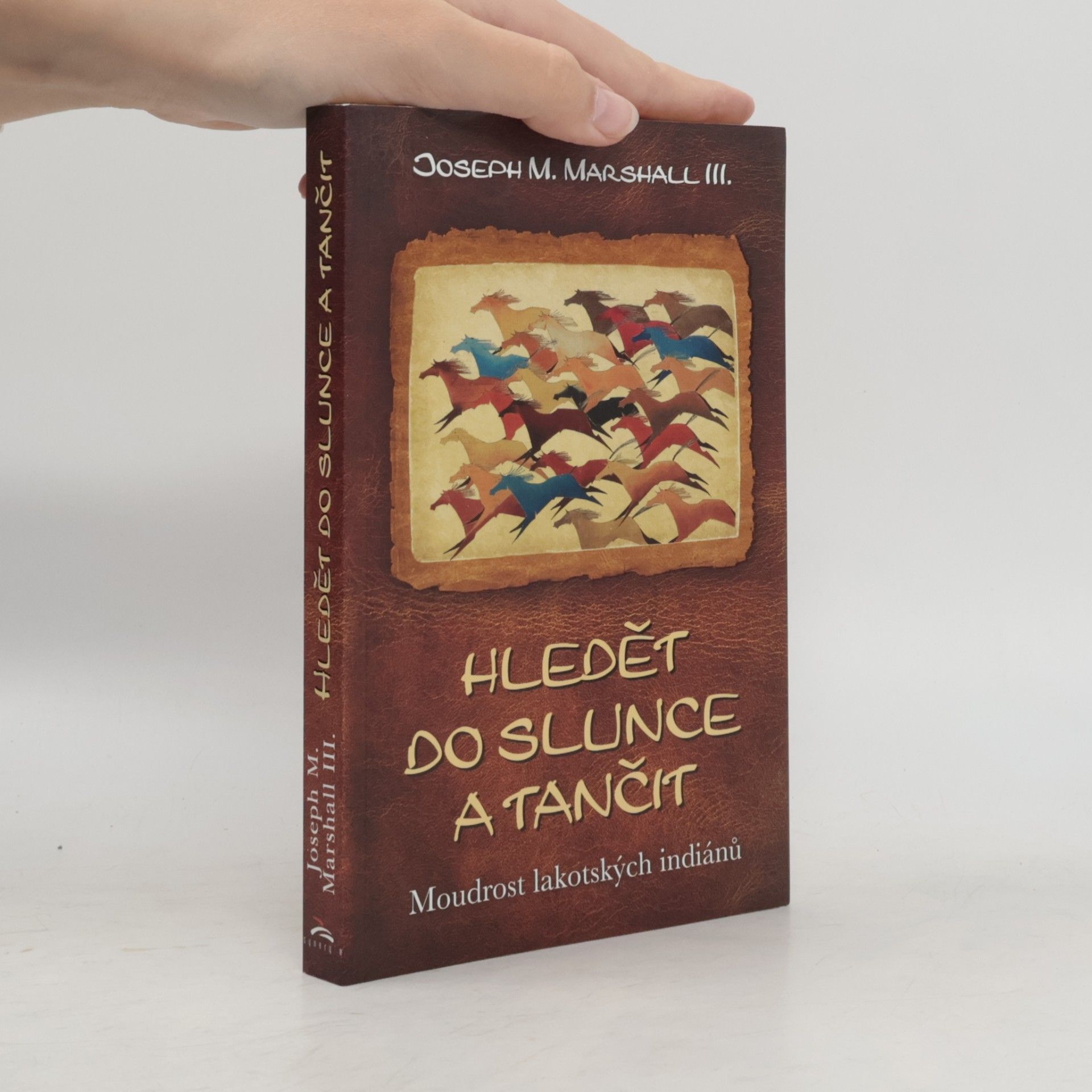 Hledět do slunce a tančit : moudrost lakotských indiánů