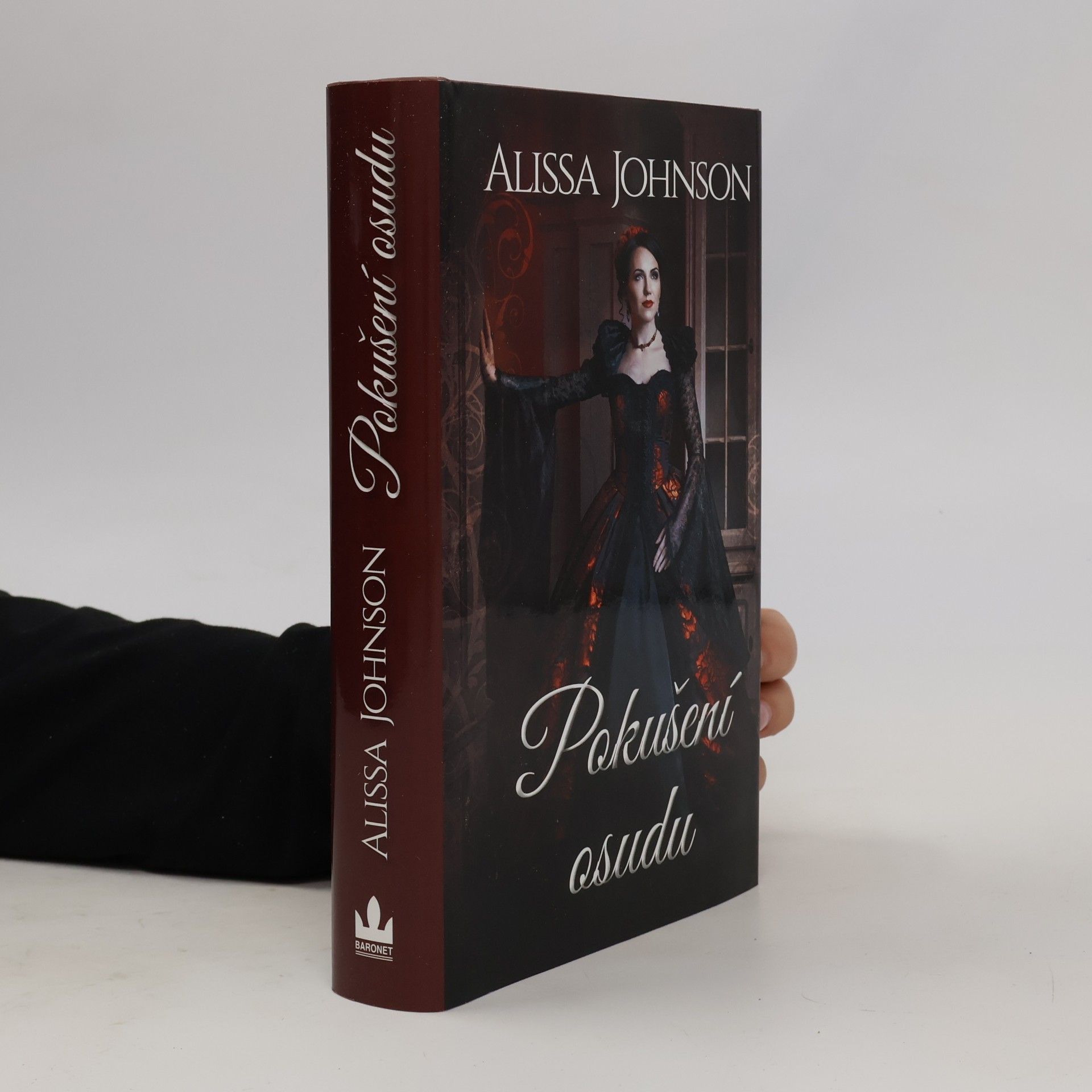 Alissa Johnson Pokušení osudu