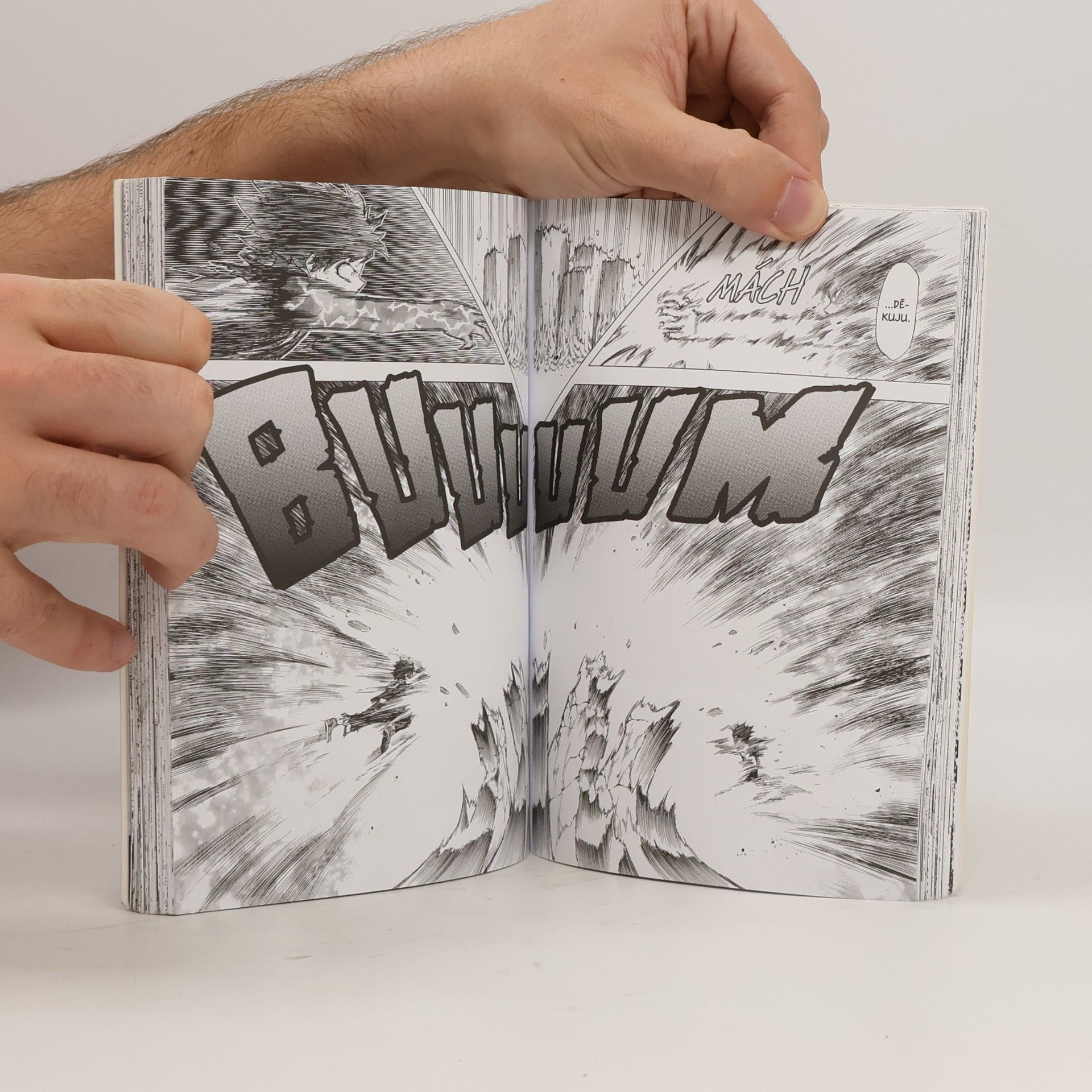Kóhei Horikoši My Hero Academia. Moje hrdinská akademie 5. Šóto Todoroki: Počátek