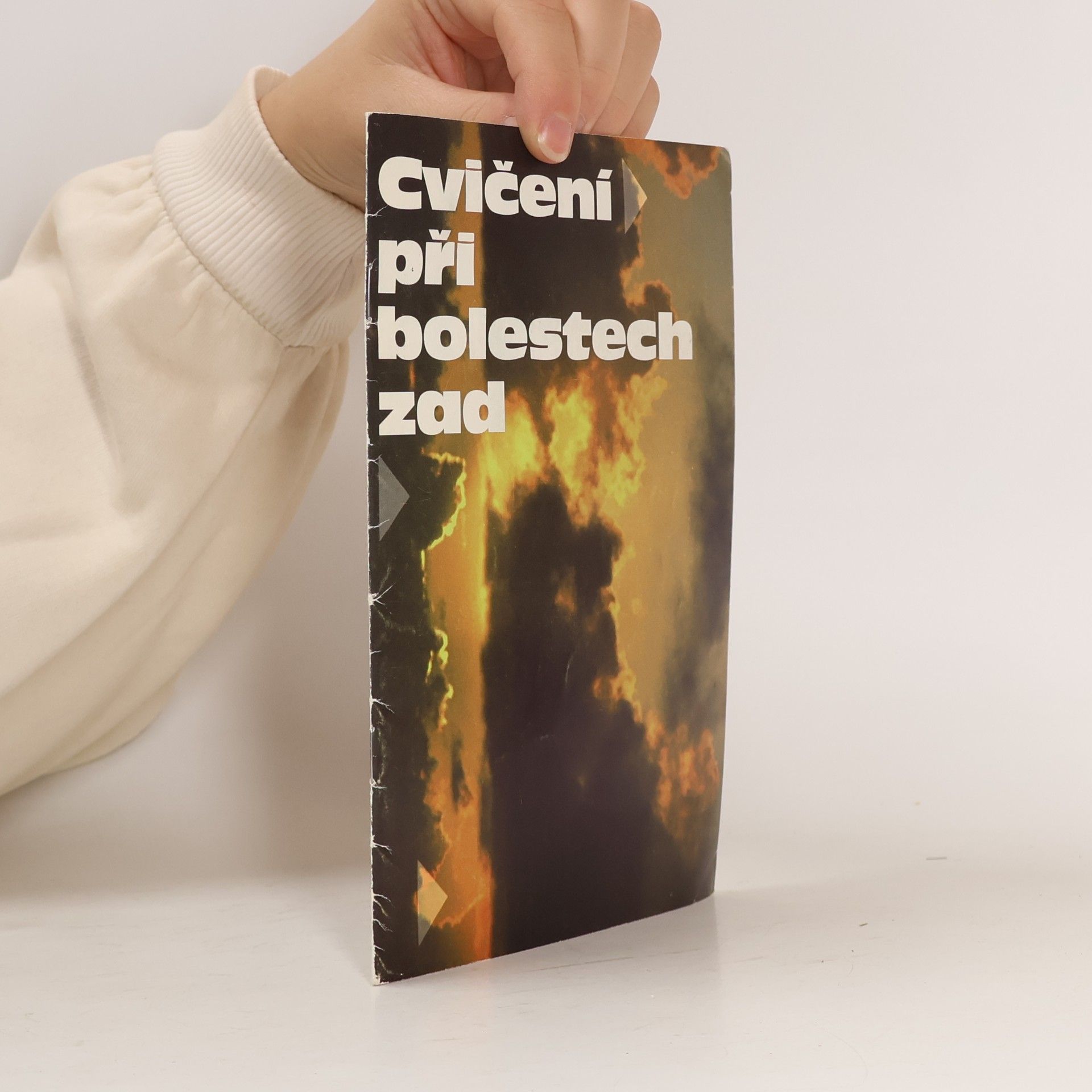 Jan Hnízdil Cvičení při bolestech zad