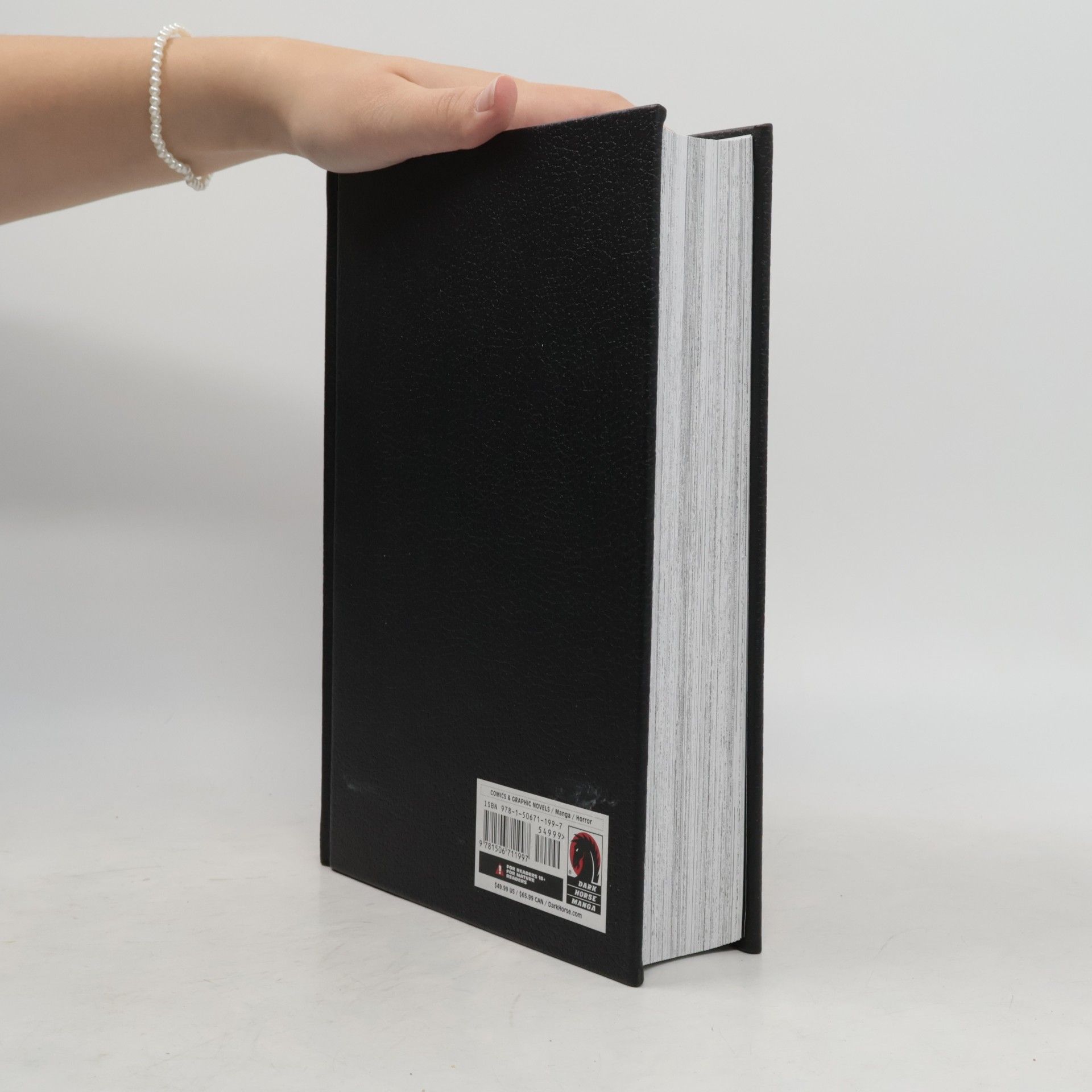 Kentaro Miura Berserk: Deluxe Edition 2