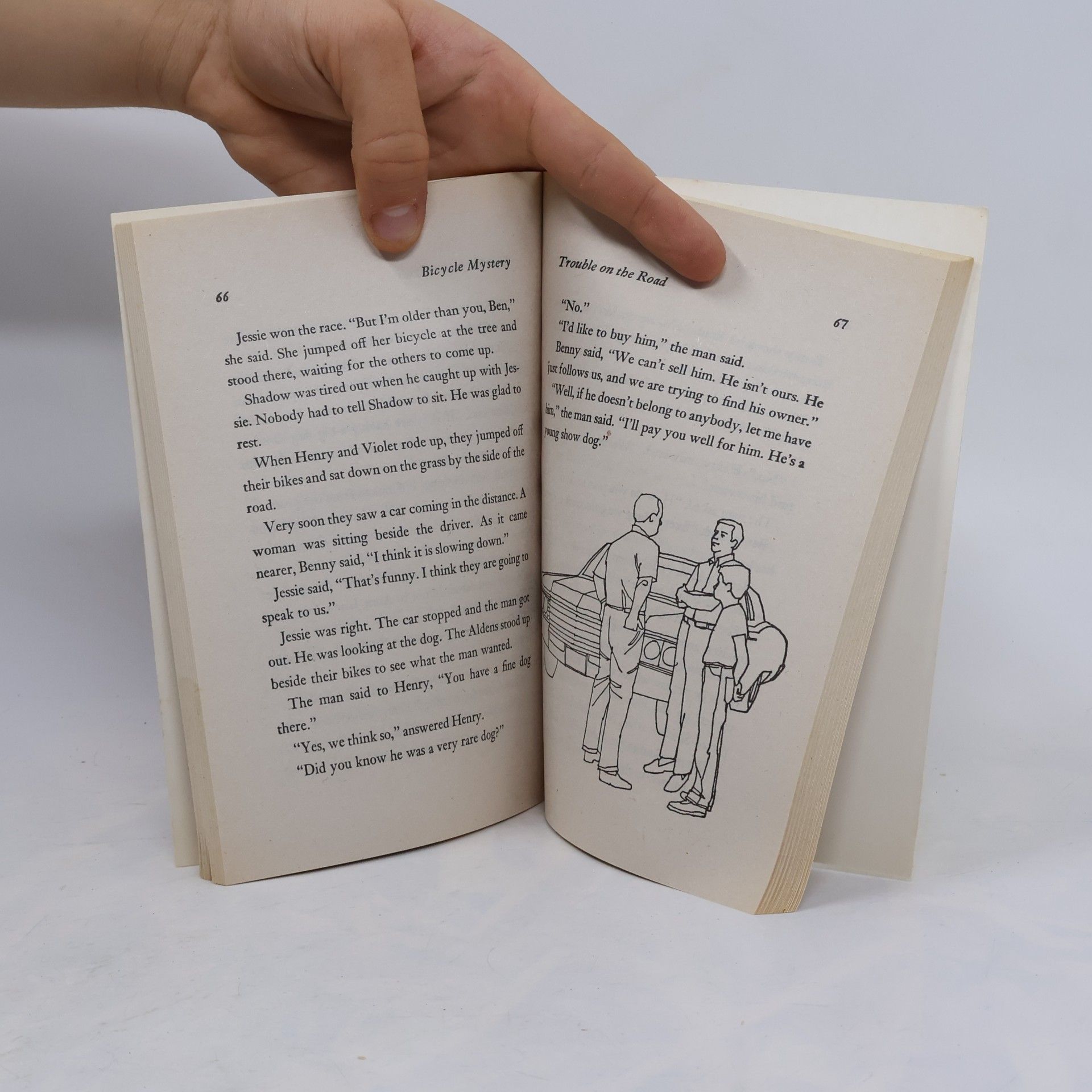 Gertrude Chandler Warner Bicycle Mystery