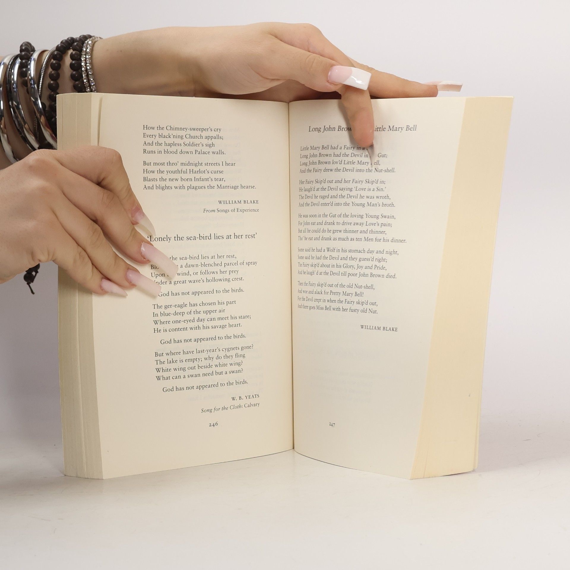 Seamus Heaney The Rattle Bag