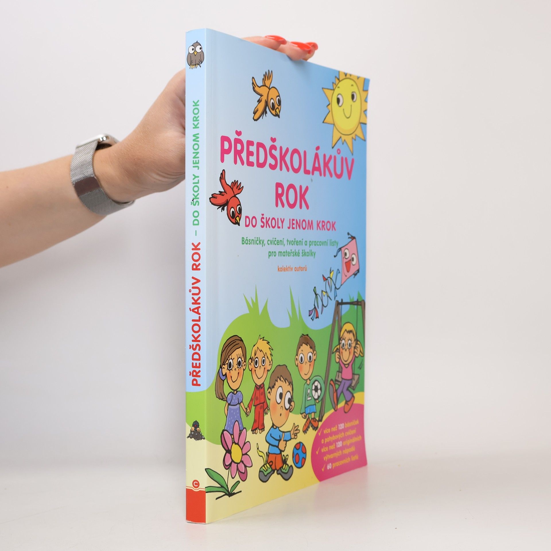 Autorenkollektiv Předškolákův rok - do školy jenom krok