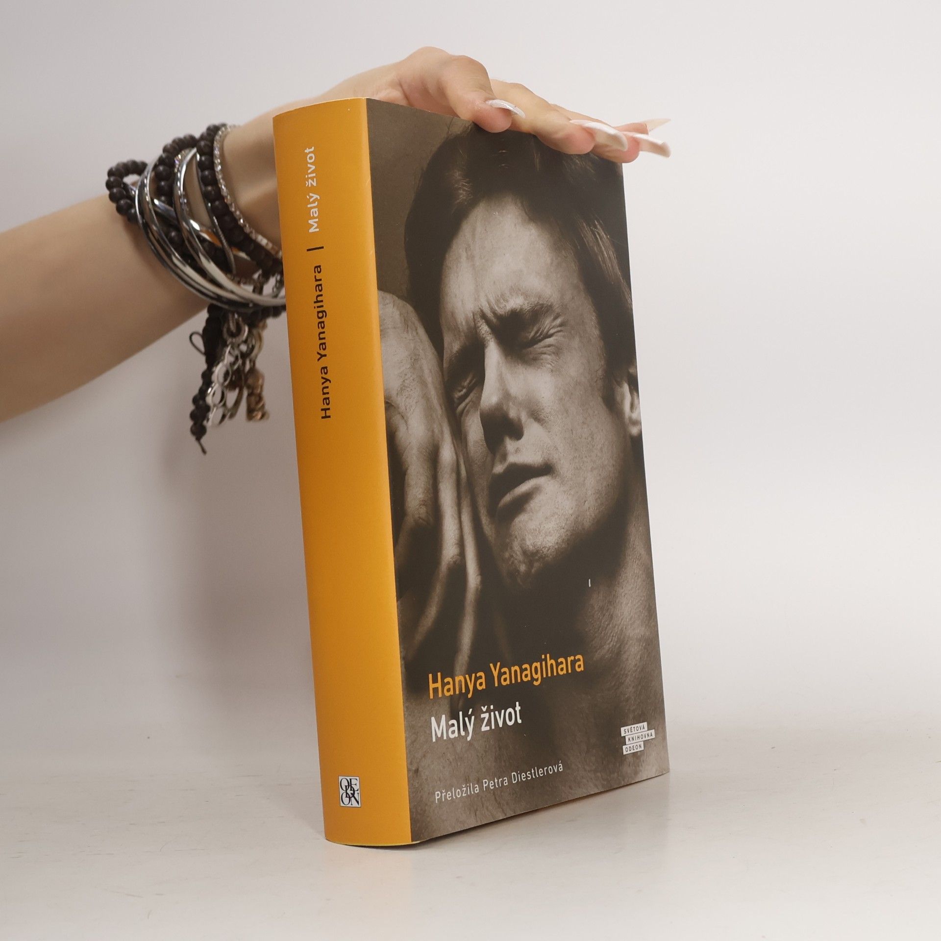 Hanya Yanagihara Malý život