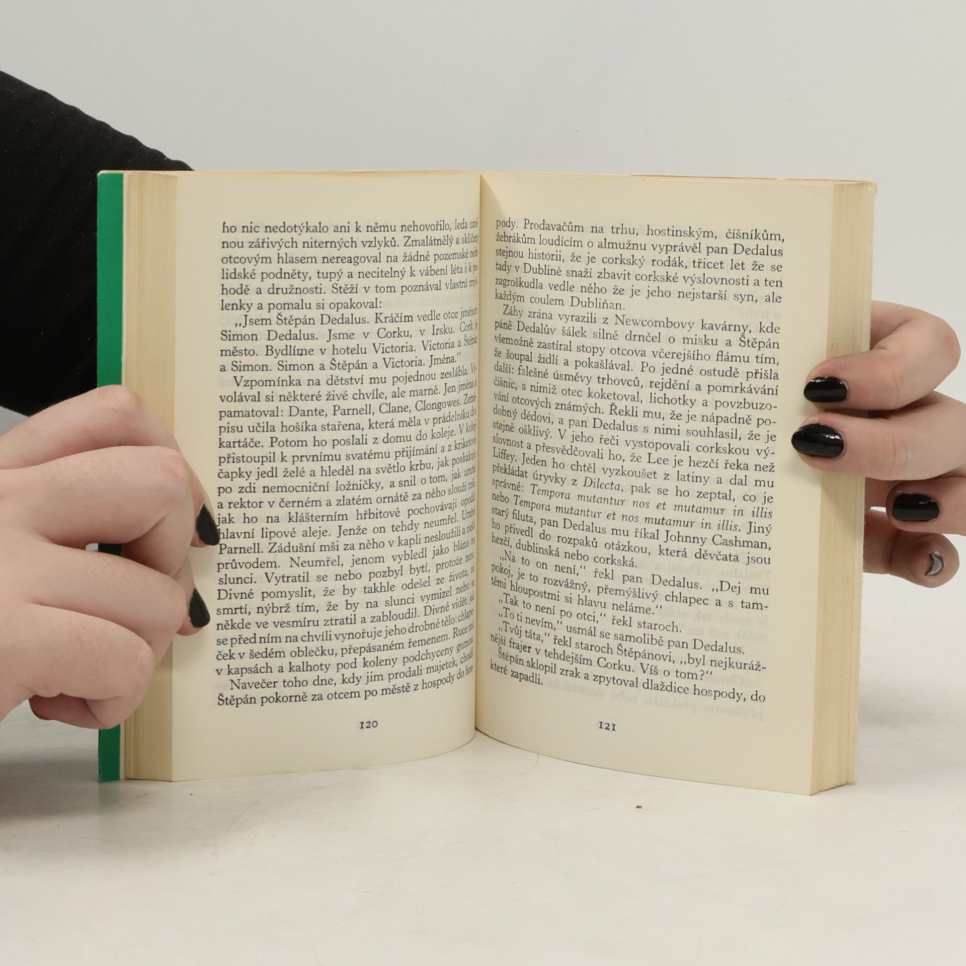 James Joyce Portrét umělce v jinošských letech