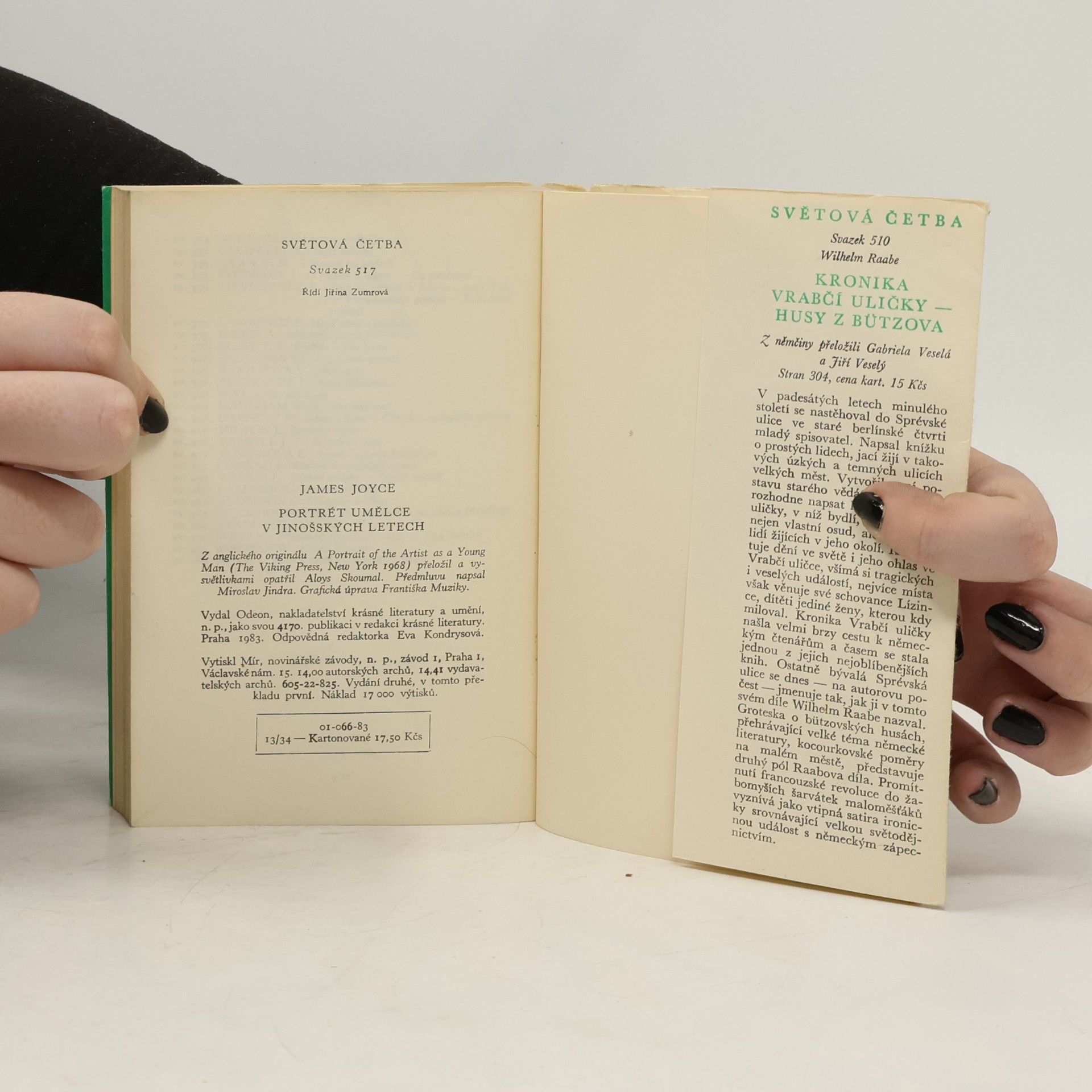 James Joyce Portrét umělce v jinošských letech