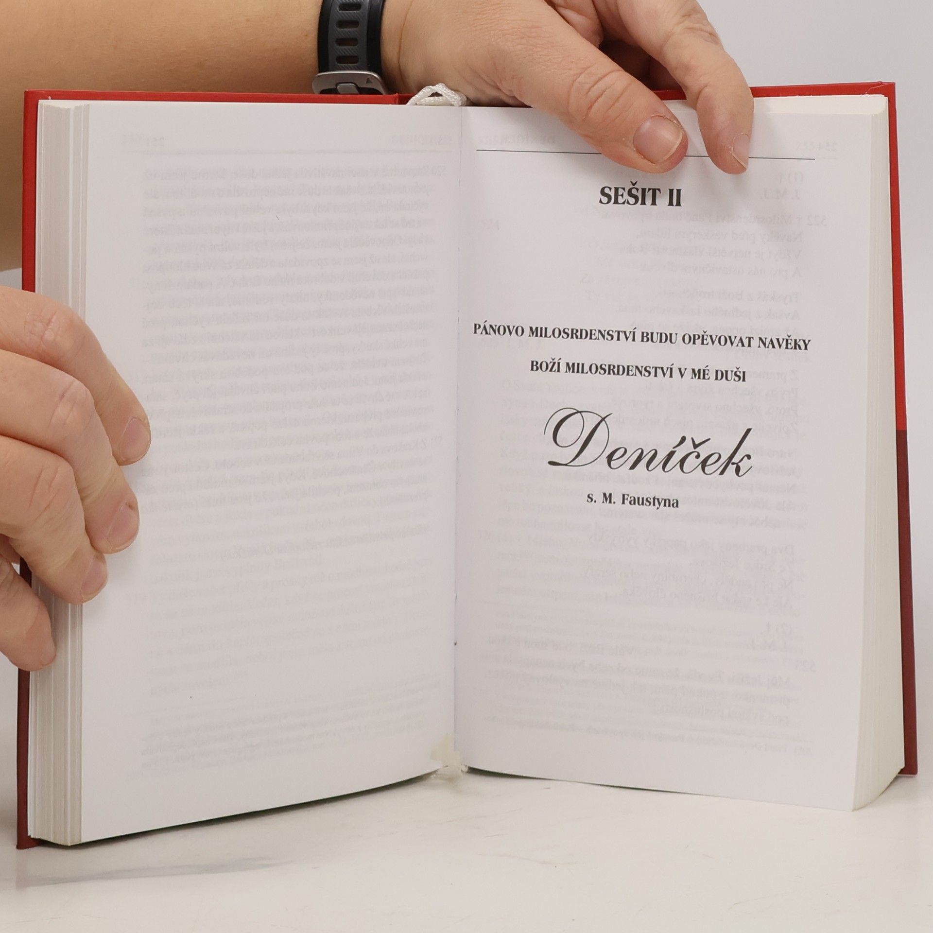 Santa Faustina Kowalska Deníček: Boží milosrdenství v mé duši