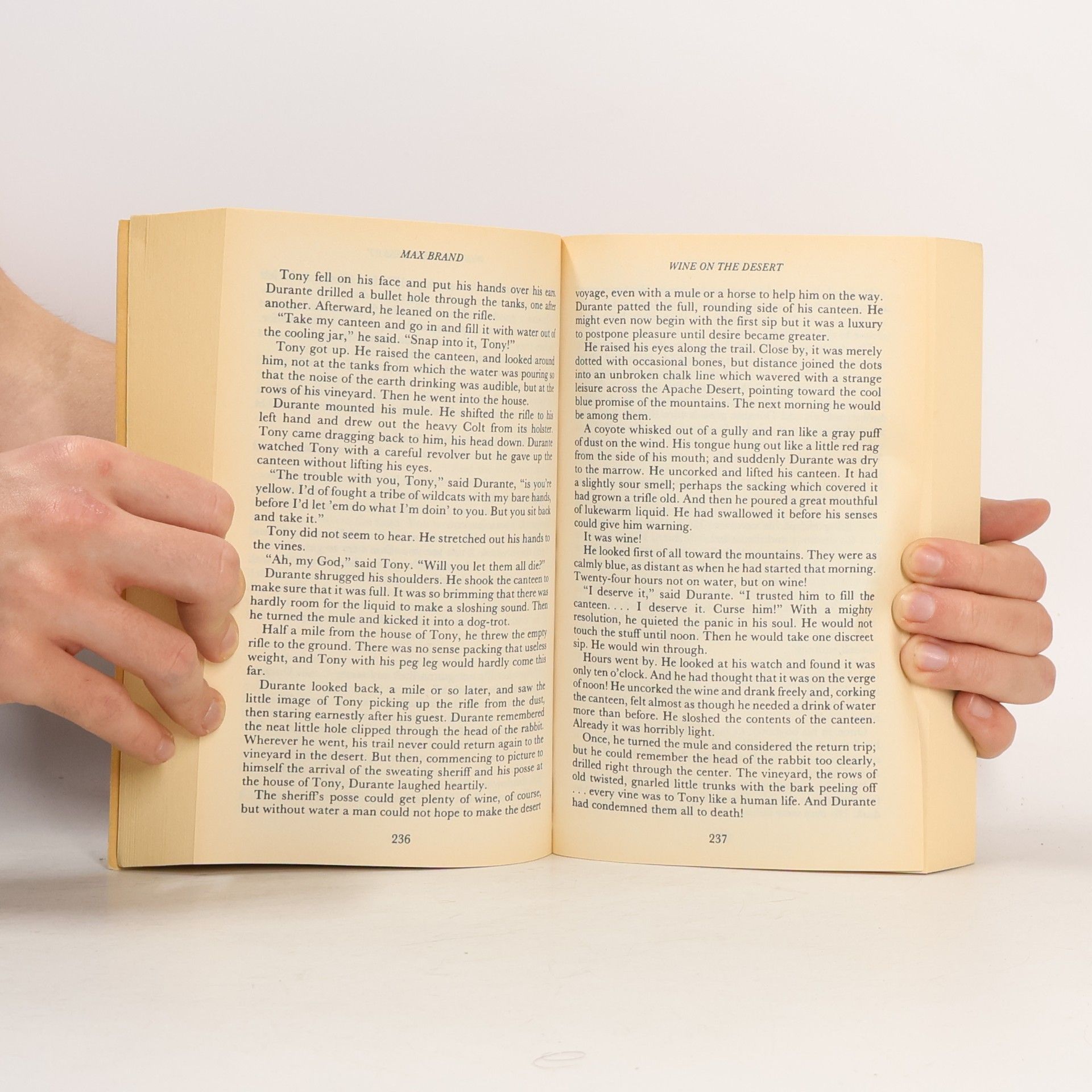 Jon E. Lewis The Giant Book of Westerns