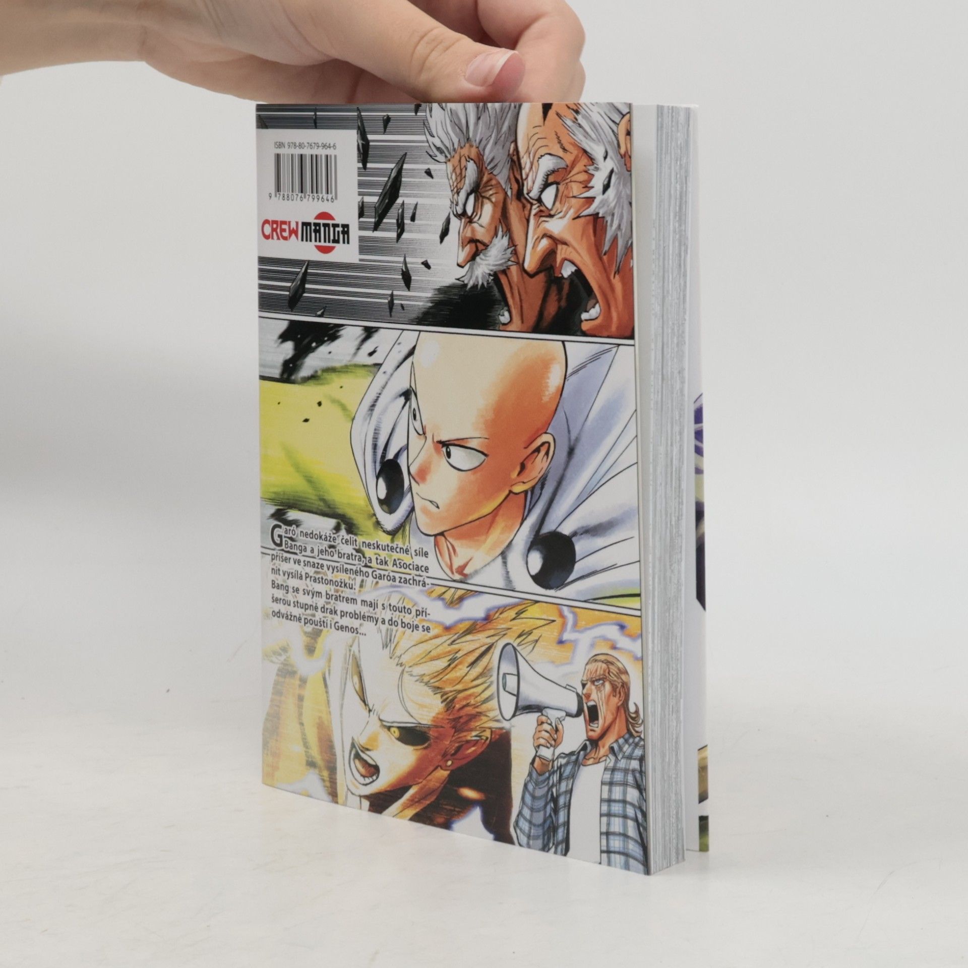 Shingo Natsume To proto, že jsem Plešoplášť?