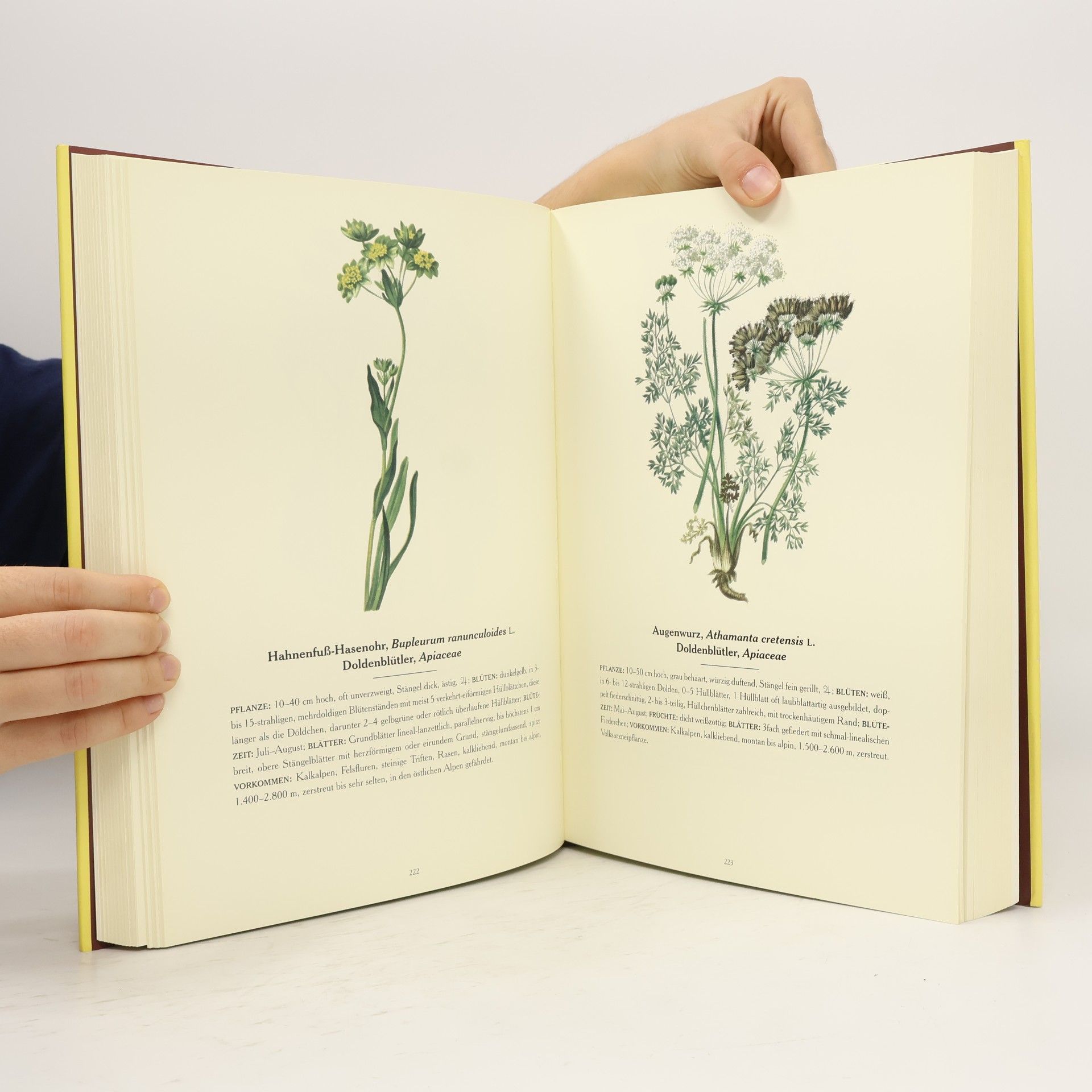 Anton Hartinger Atlas der Alpenflora
