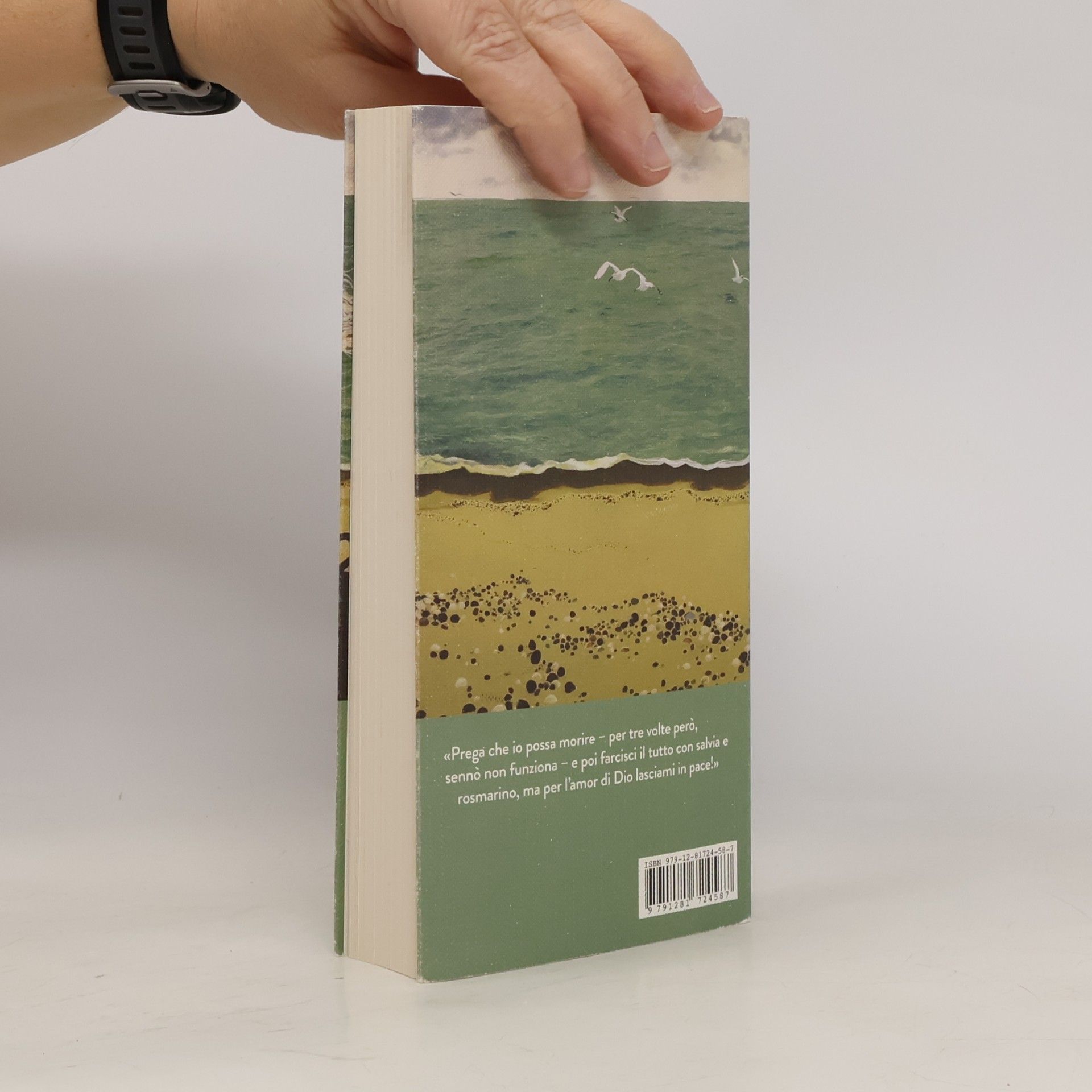 Tove Jansson Gli Iperborei: La città del sole