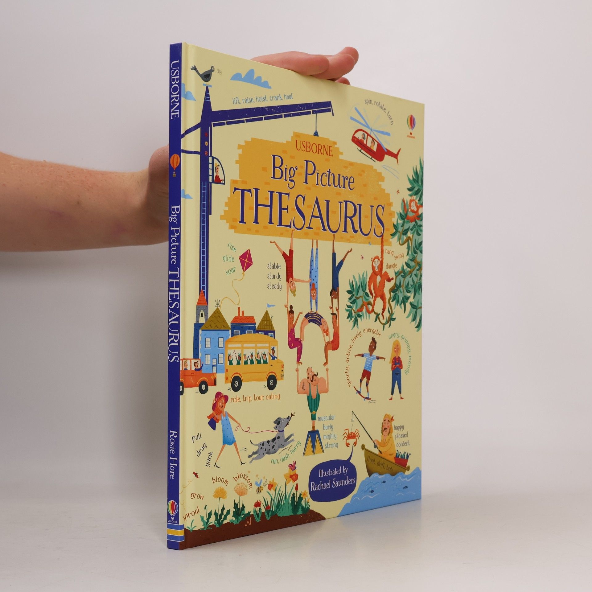 Rosie Hore Big Picture Thesaurus