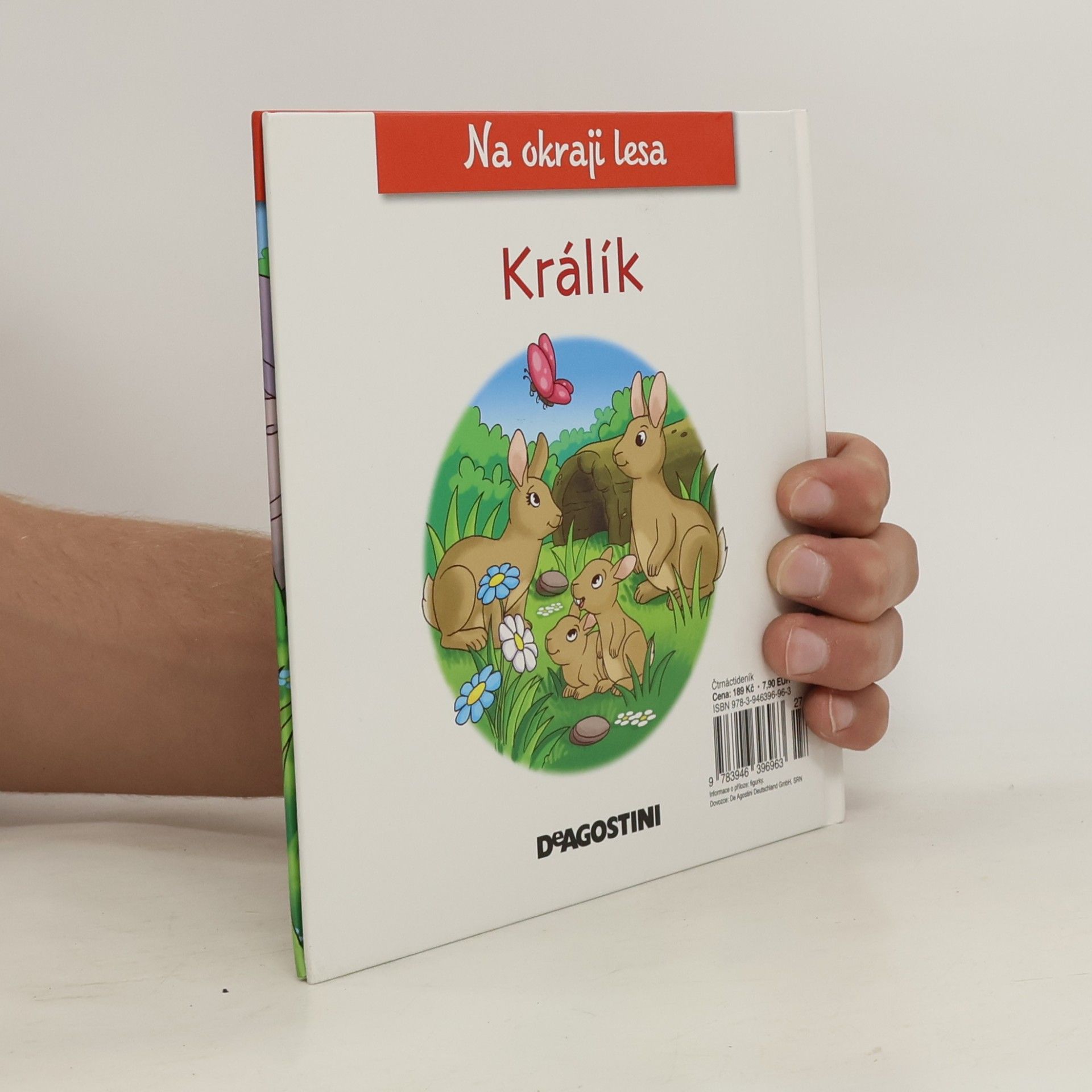 Autorenkollektiv Na okraji lesa č. 49. Králík