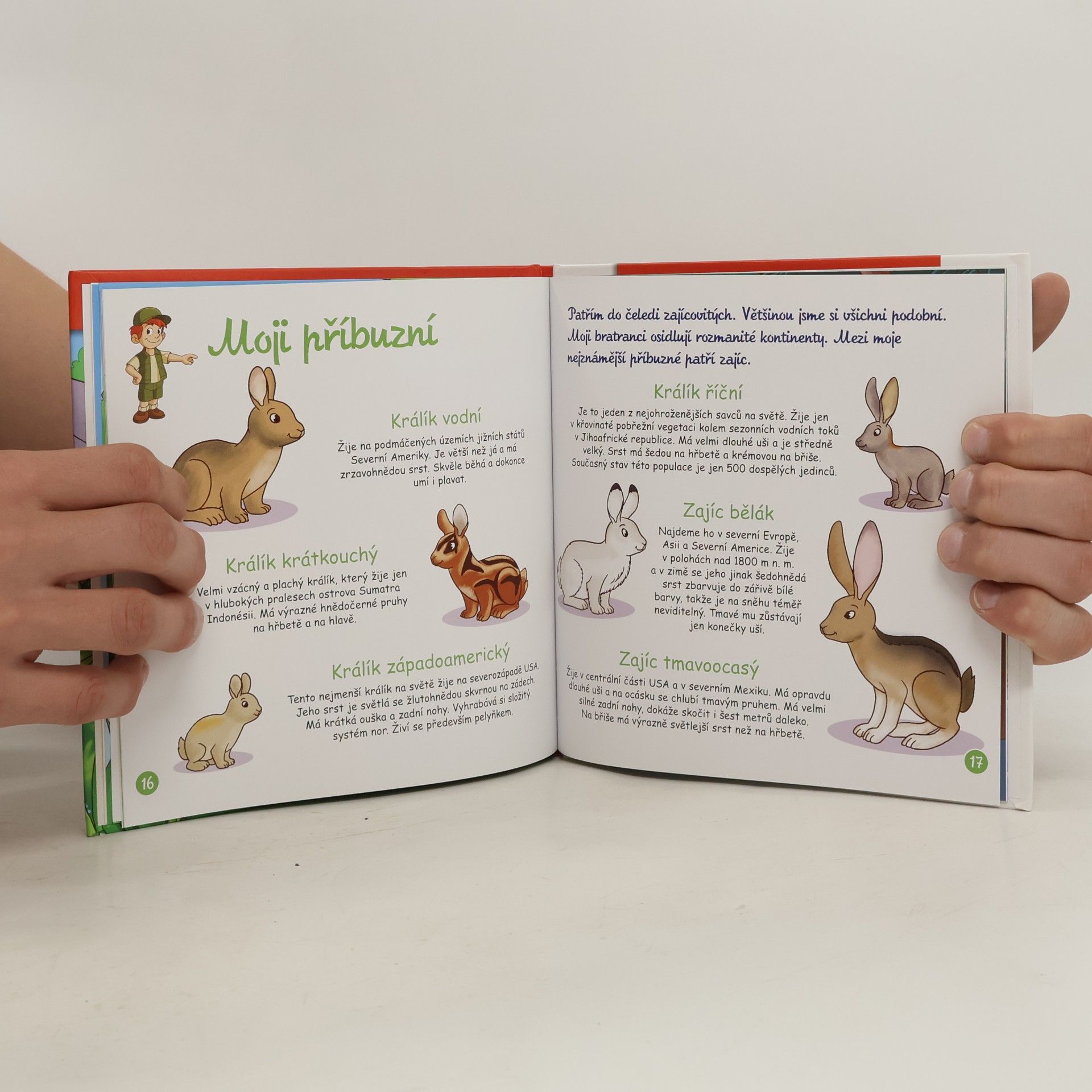 Autorenkollektiv Na okraji lesa č. 49. Králík