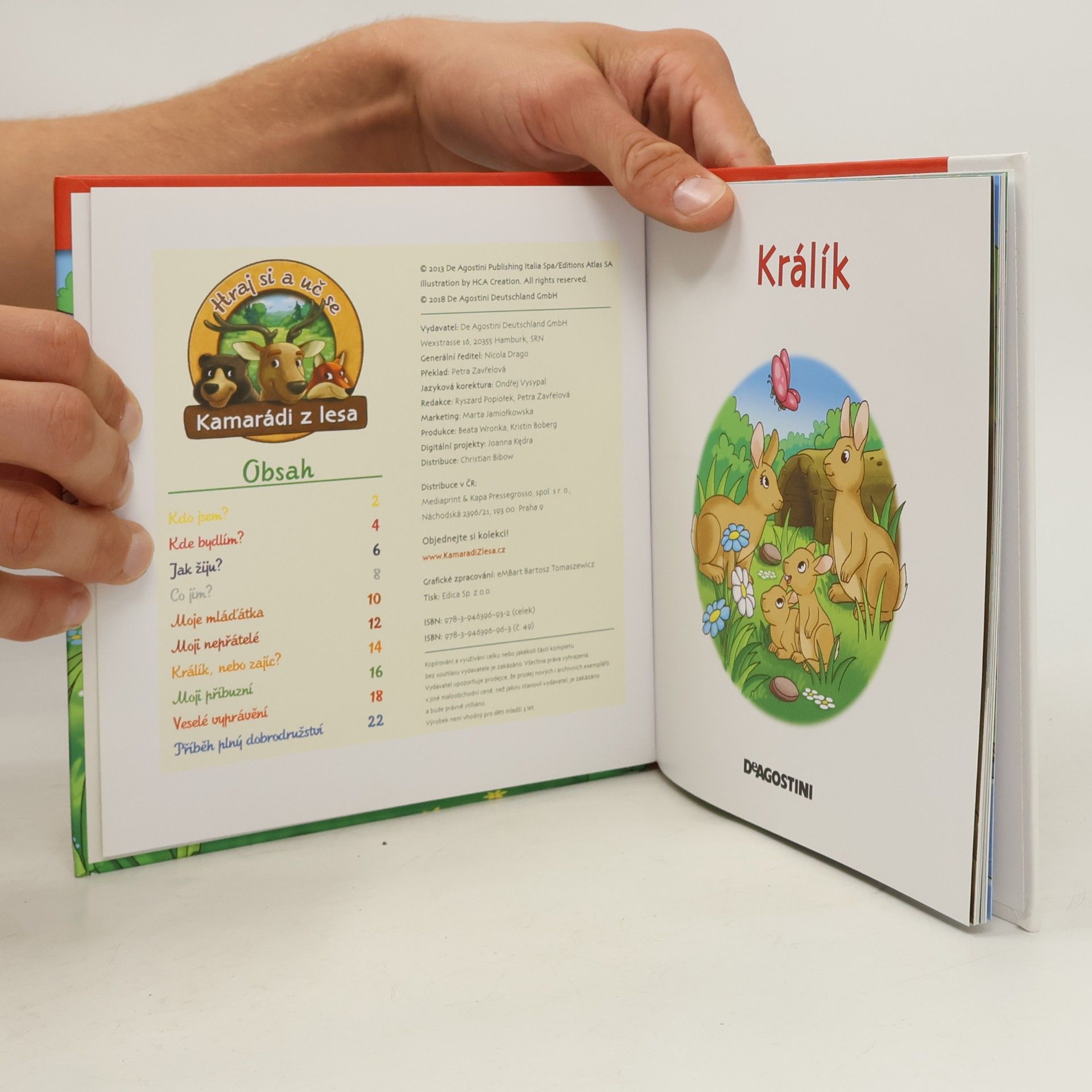 Autorenkollektiv Na okraji lesa č. 49. Králík