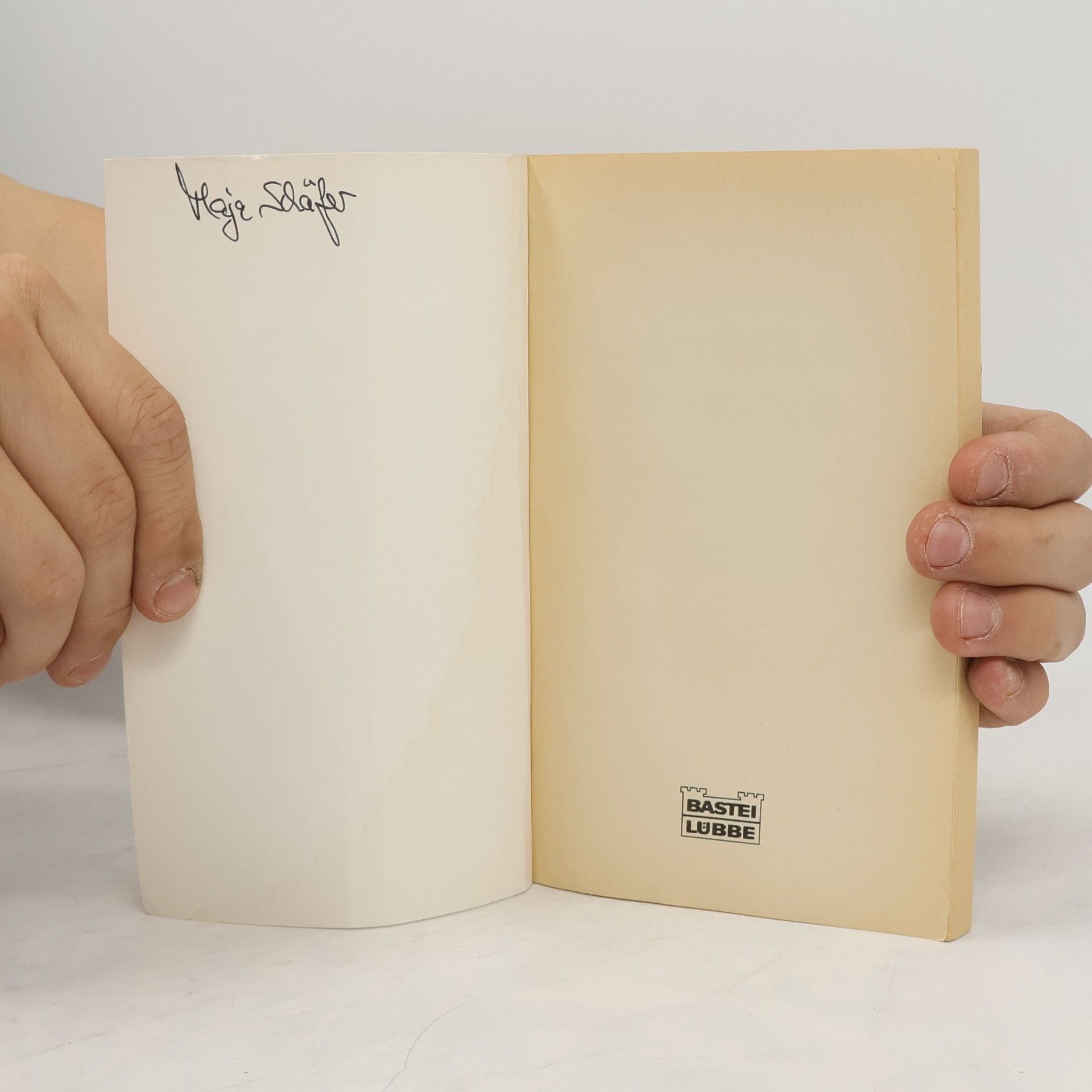Willy Breinholst Hallo, liebes Tagebuch