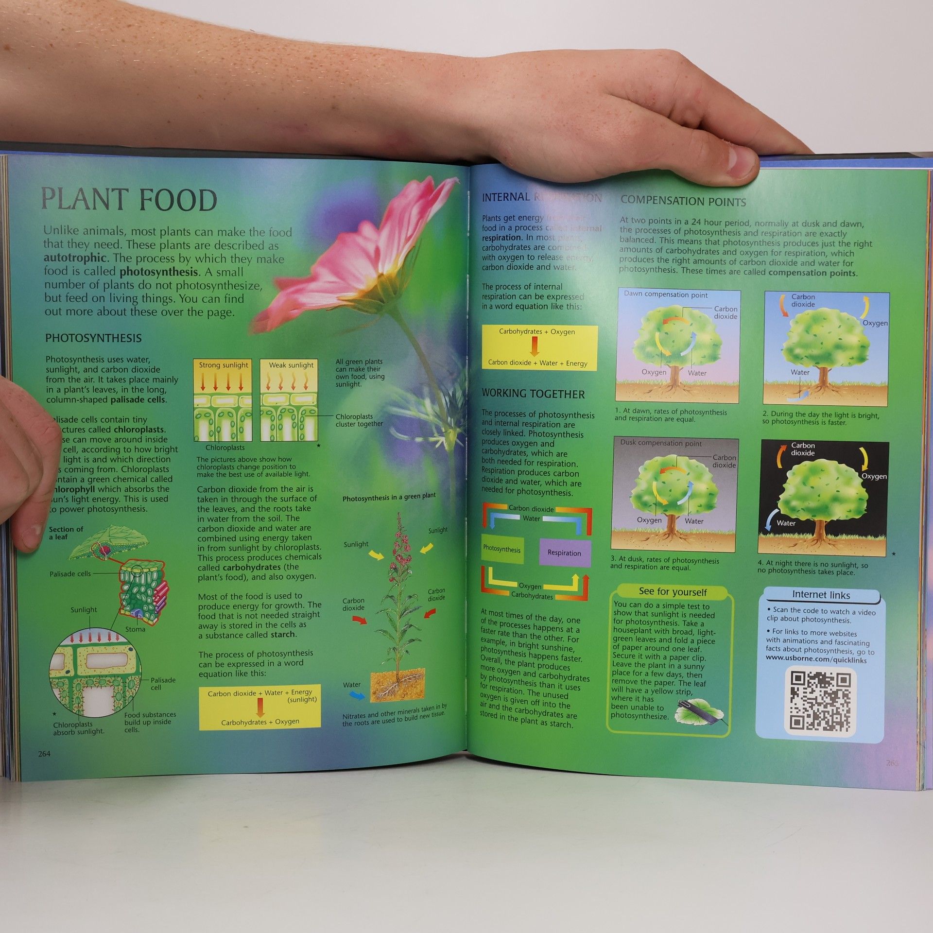 Autorenkollektiv The Usborne Science Encyclopedia