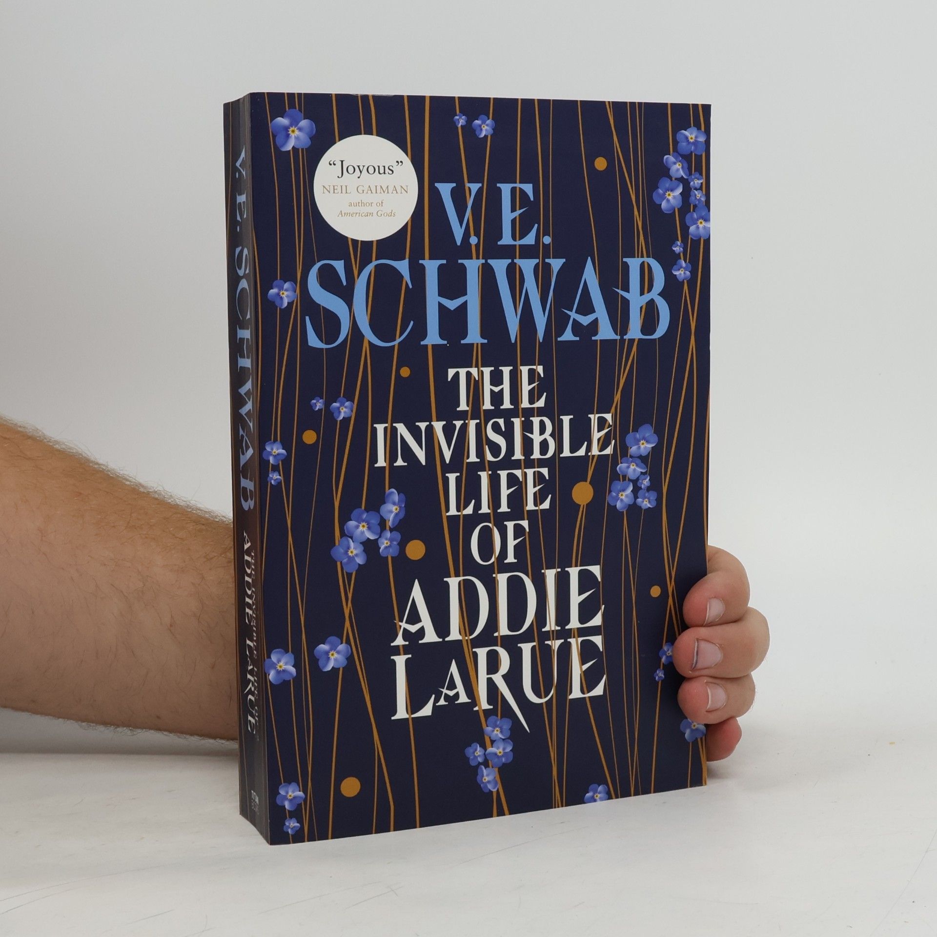 Victoria Schwabová The Invisible Life of Addie Larue