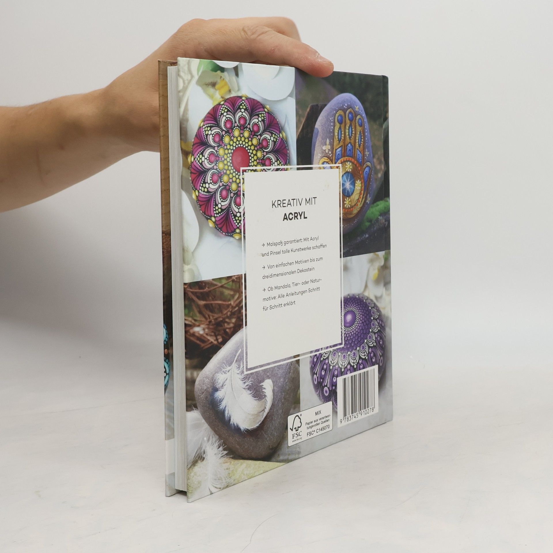 Autorenkollektiv Kunstvolle Steine mit Acryl