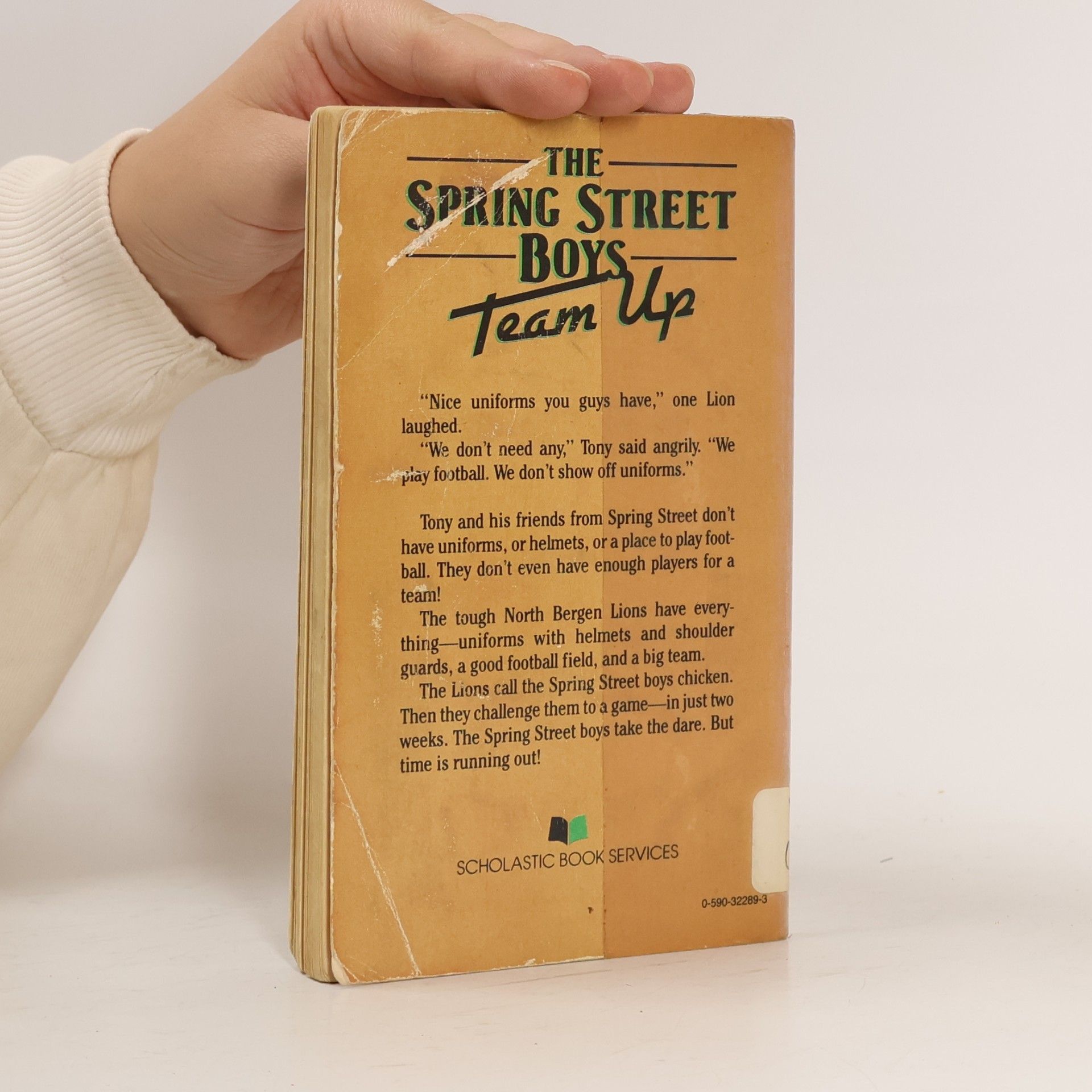 Mel Cebulash The Spring Street Boys Team Up