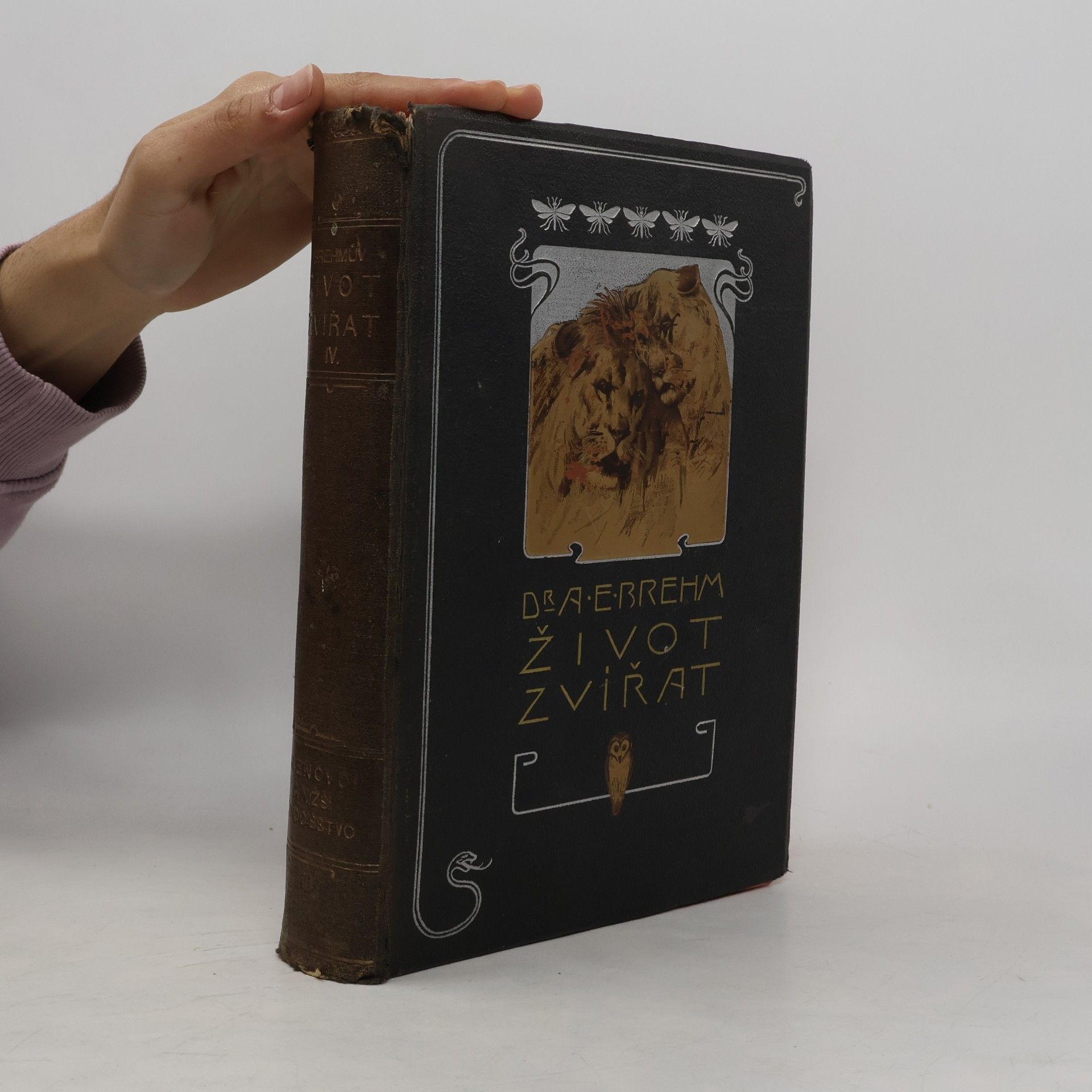 Autorenkollektiv Brehmův Život zvířat IV