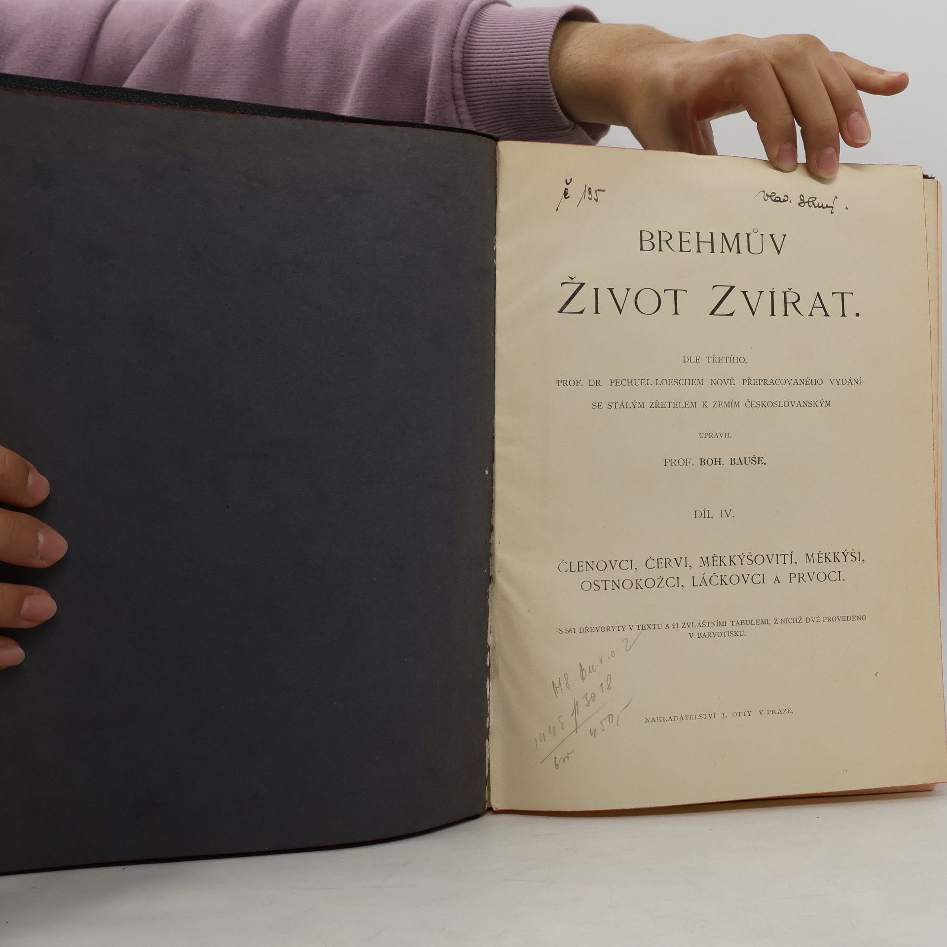Kolektív autorov Brehmův Život zvířat IV