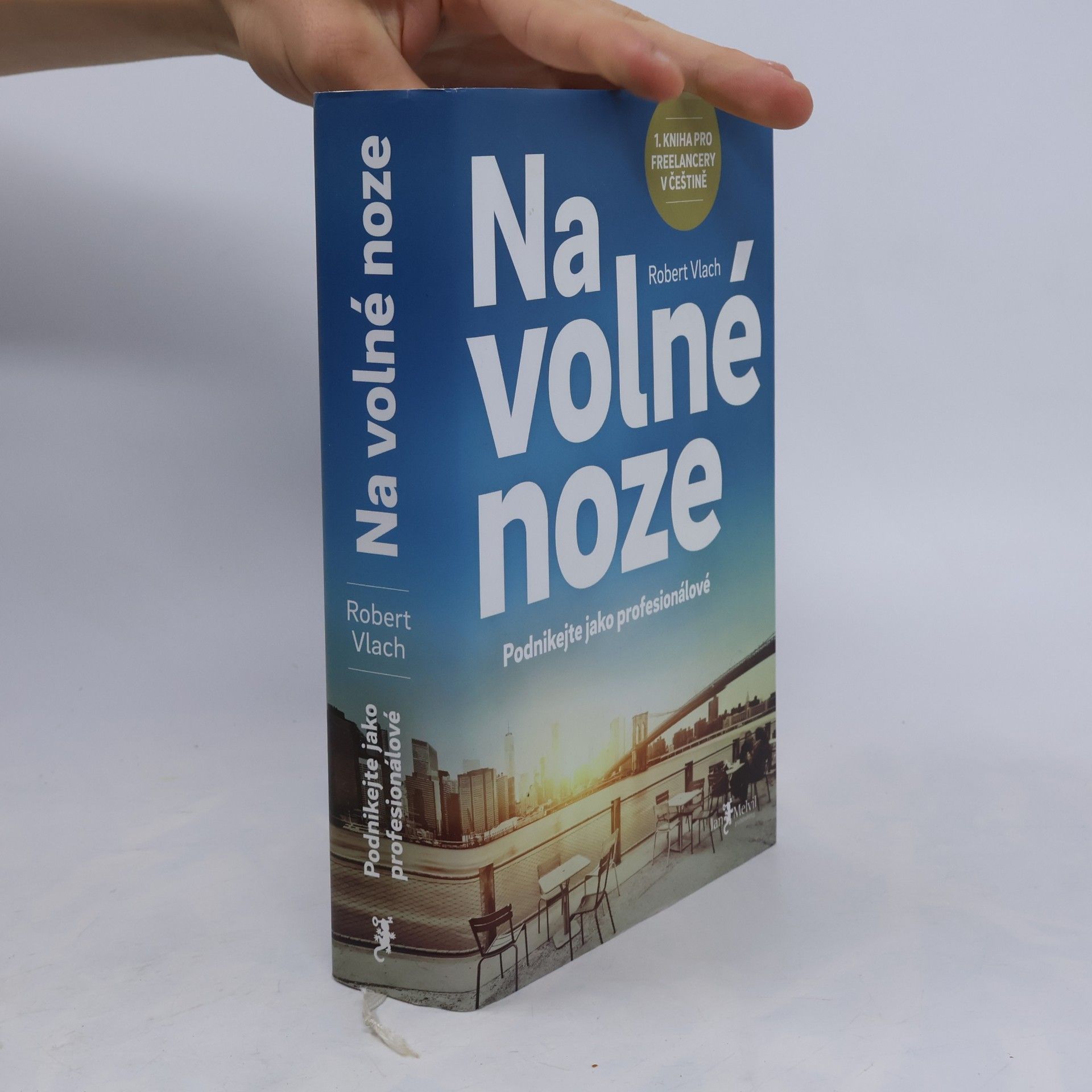 Robert Vlach (podnikatel) Na volné noze