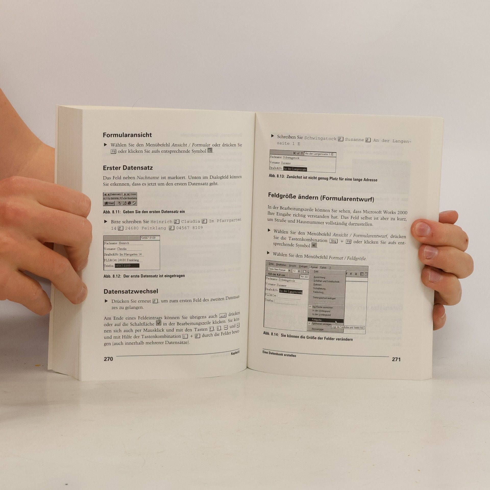 Marianne Leschik Das Einsteigerseminar Works 2000