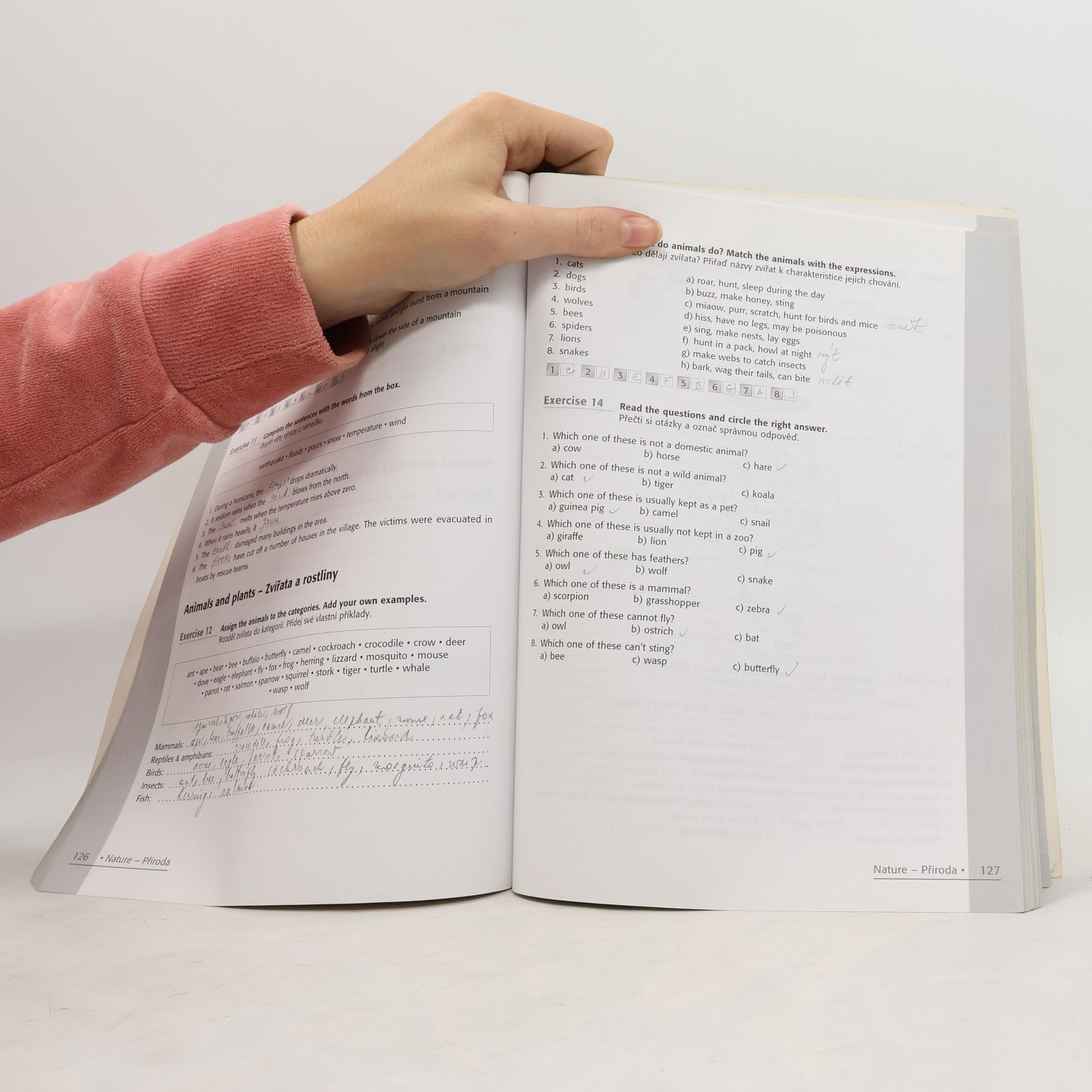 David O. Brien Angličtina : maturitní slovní zásoba