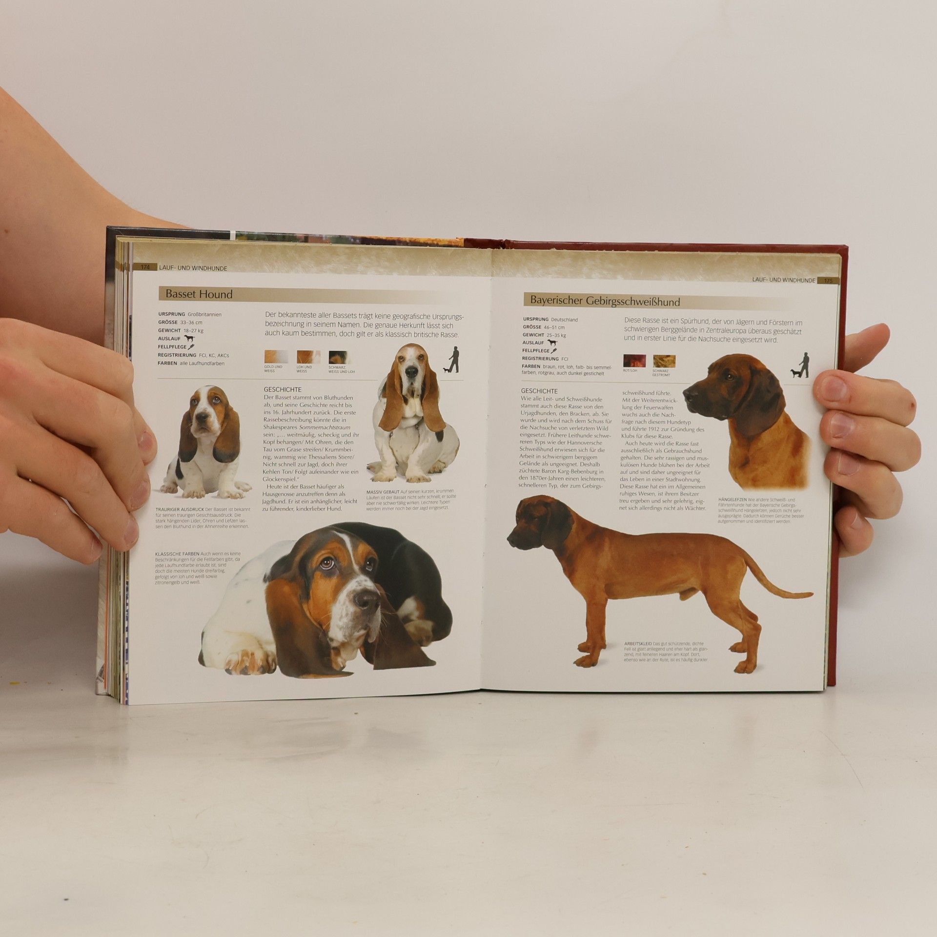 David Alderton Hunde. Über 350 Rassen auf über 1000 Fotografien