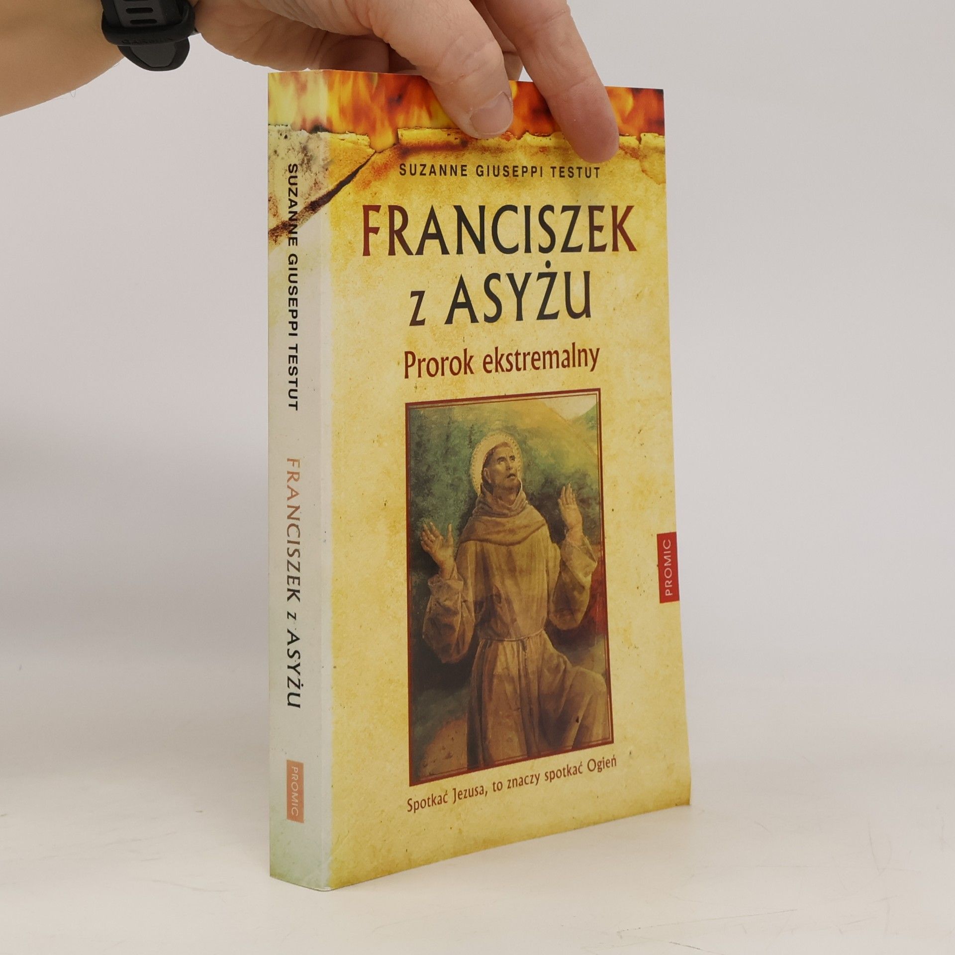 Suzanne Giuseppi Testut Franciszek z Asyżu prorok ekstremalny