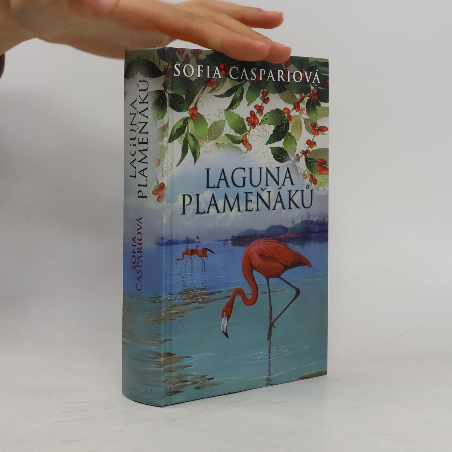 Sofia Caspari Laguna plameňáků
