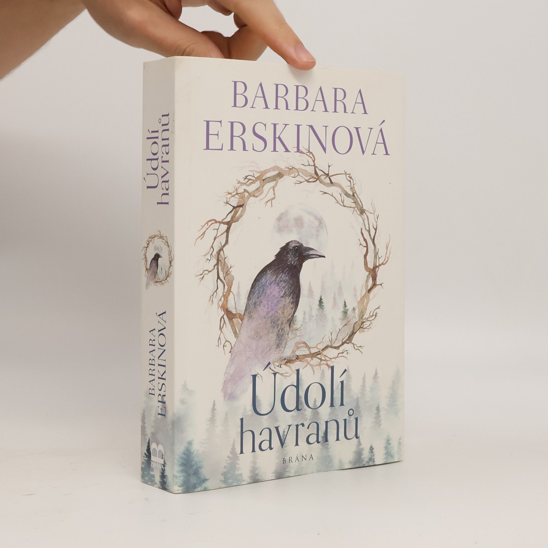Barbara Erskinová Údolí havranů