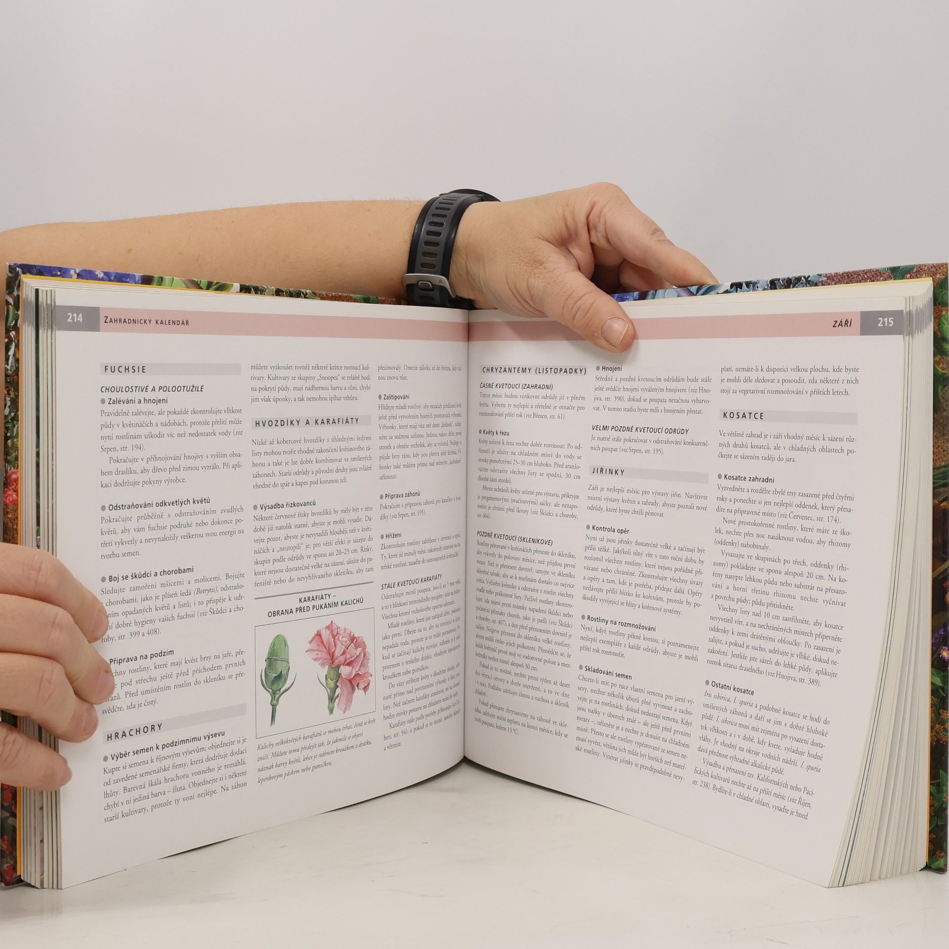 Autorenkollektiv Rok v zahradě. Jak se těšit ze zahrady od jara do zimy