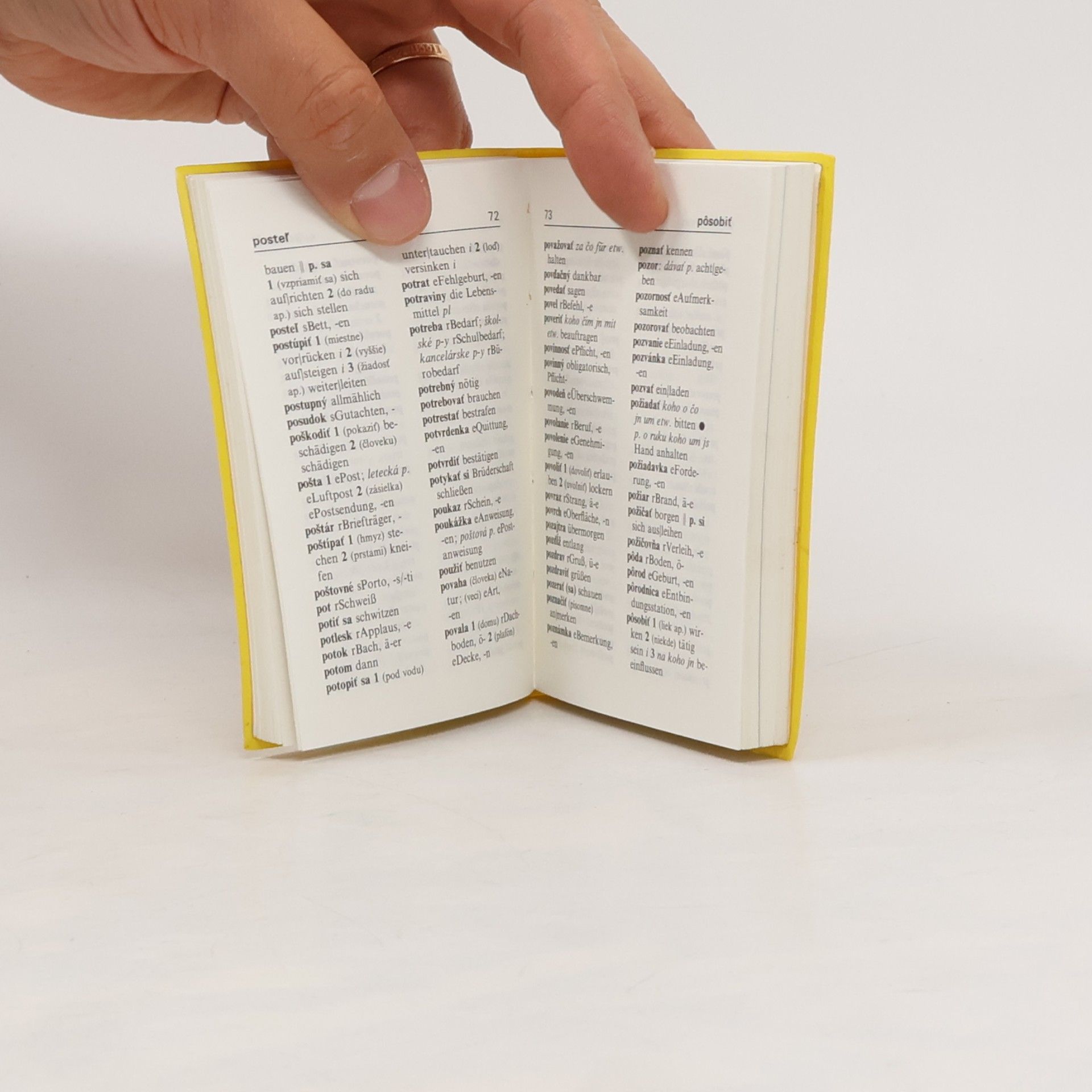 Autorenkollektiv Slovensko - Německý slovník