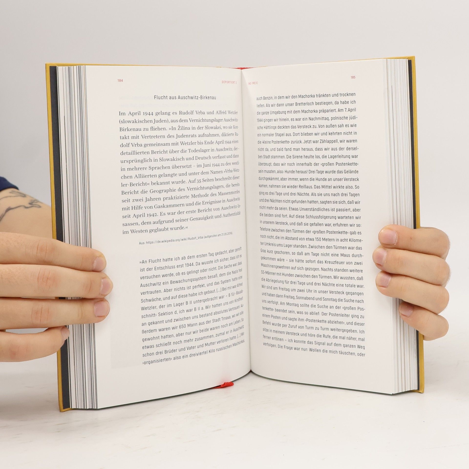 Frank Lahmann Die Andere Bibliothek - 385: Entkommen oder Not macht erfinderisch