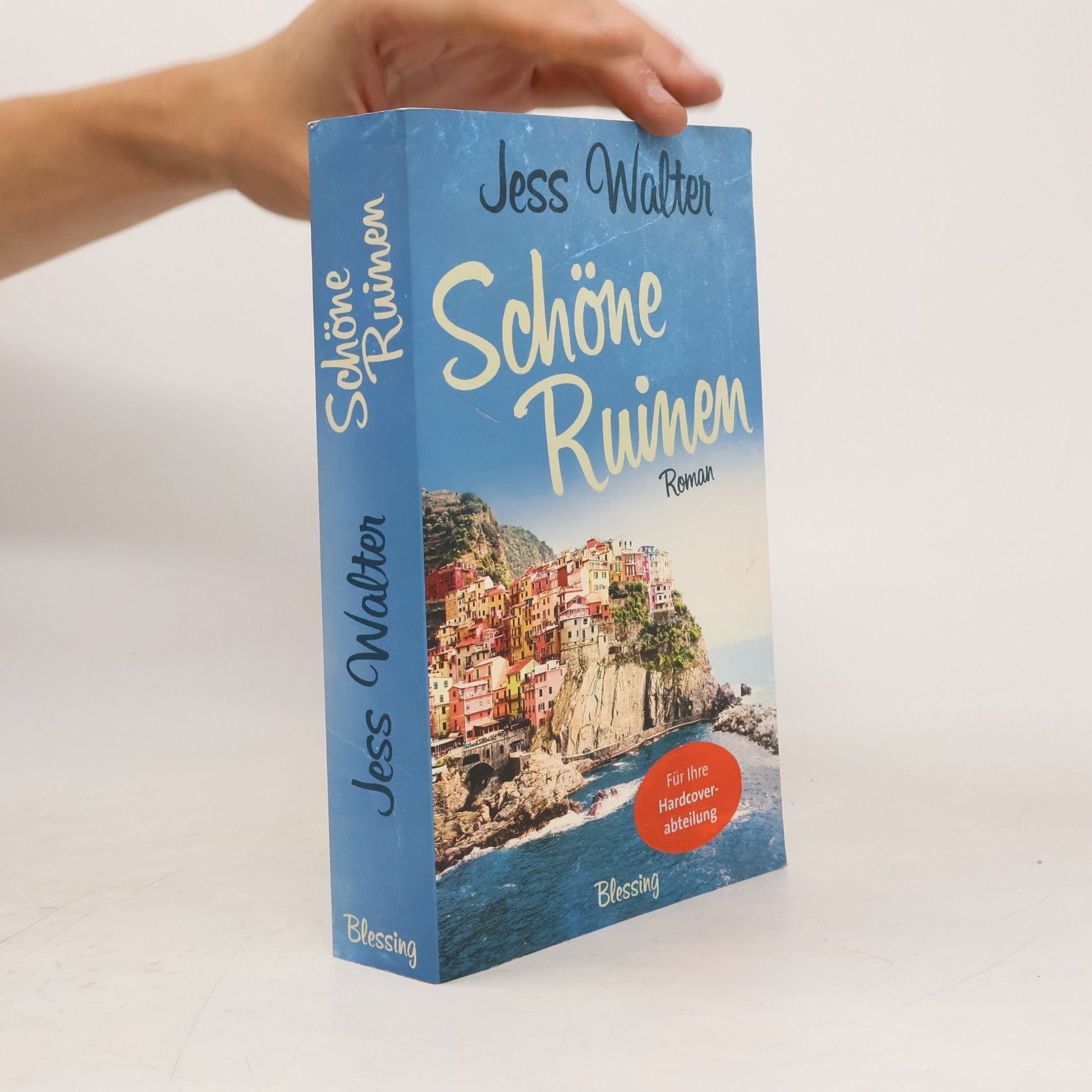 Jess Walter Schöne Ruinen