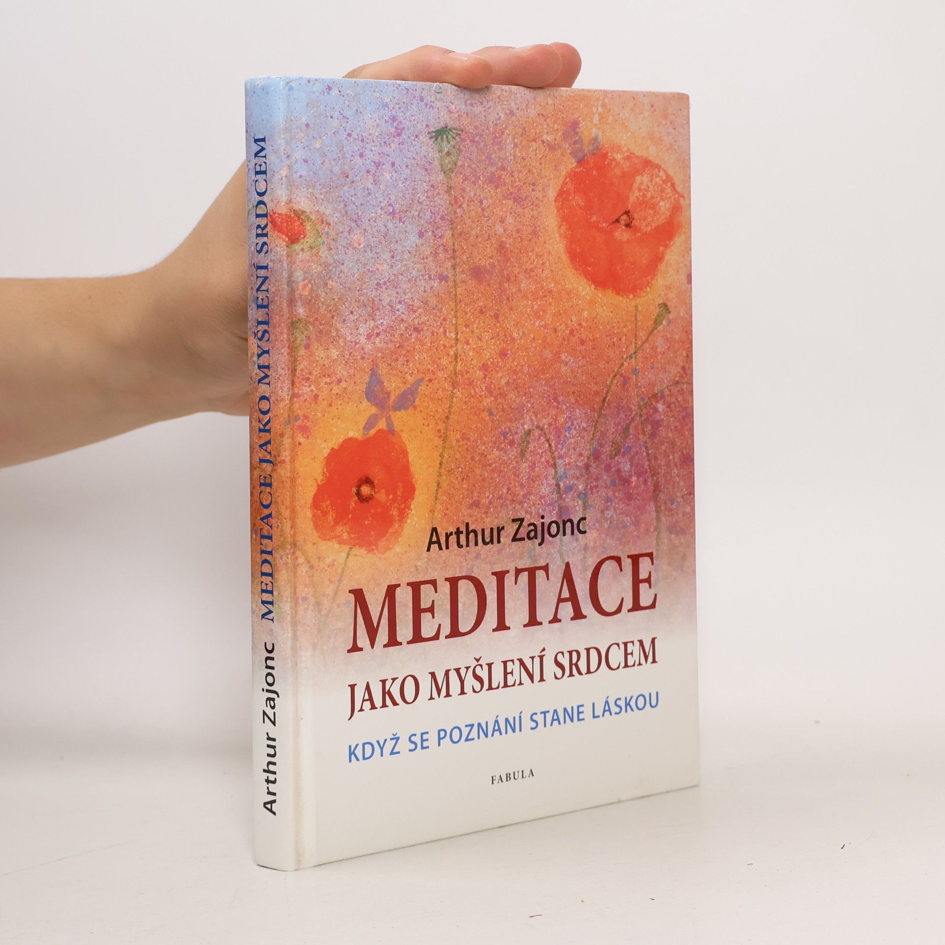 Arthur Zajonc Meditace jako myšlení srdcem