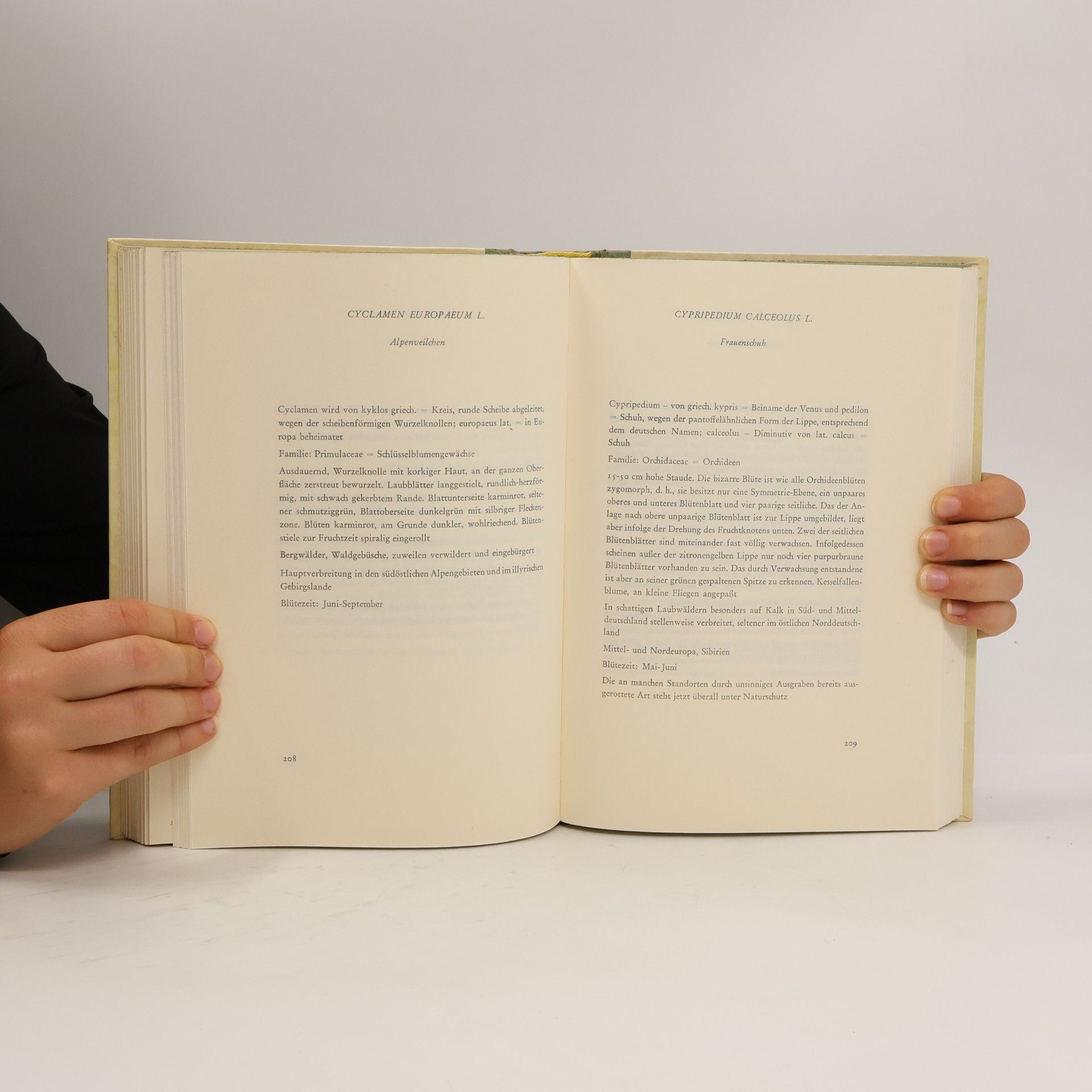 Autorenkollektiv Blumen - Fibel