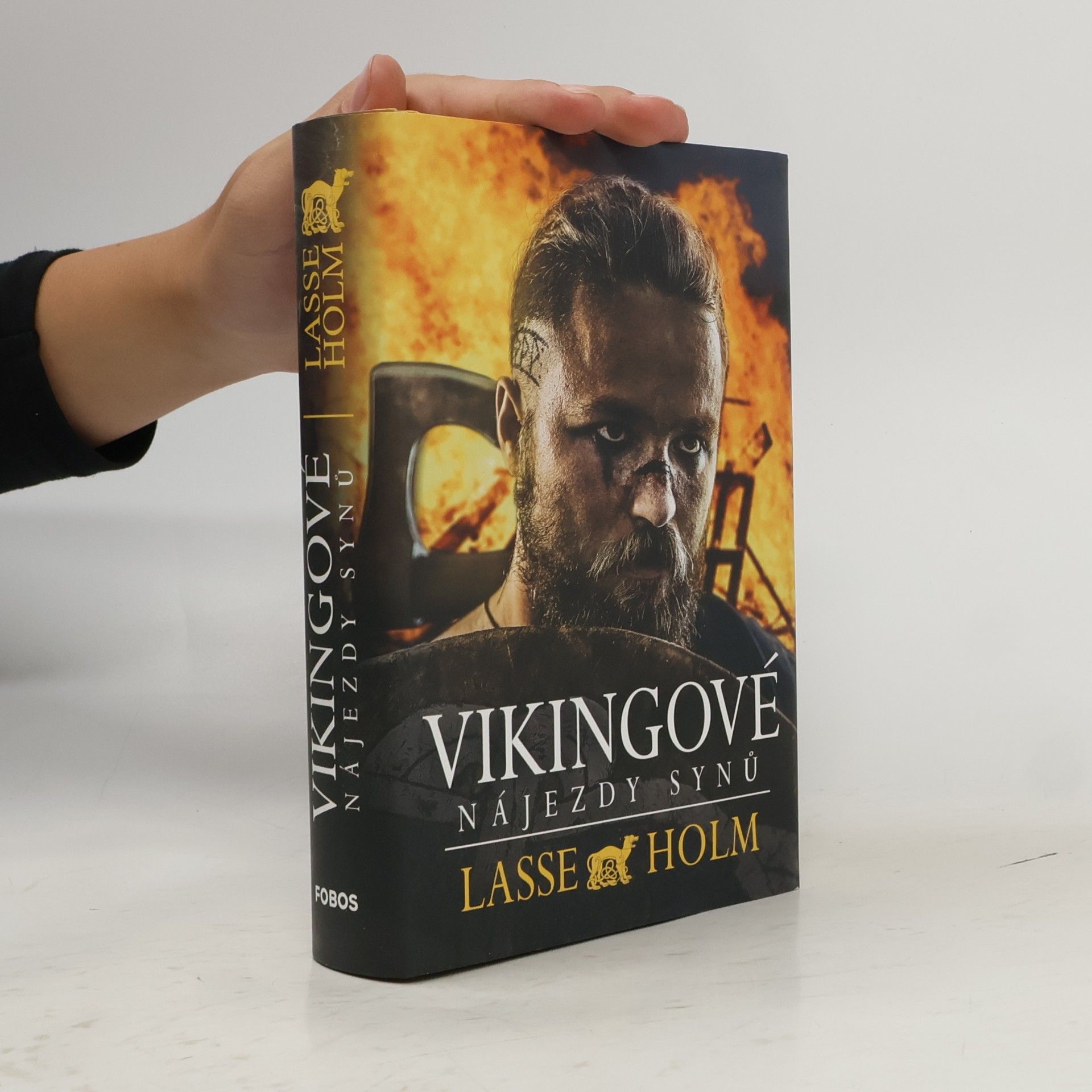 Vikingové. Nájezdy synů