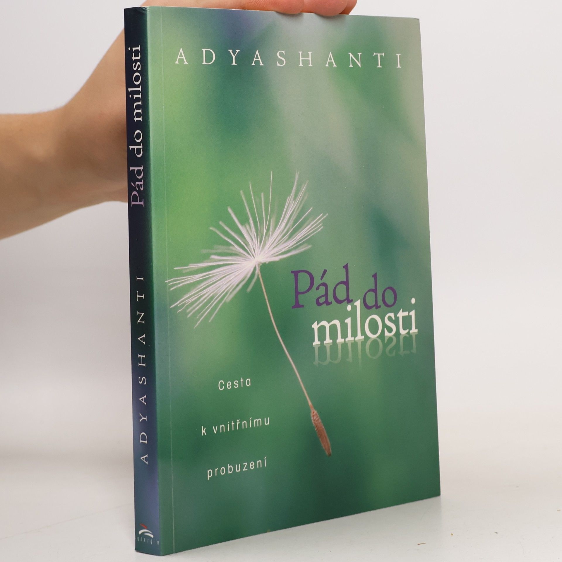 Adyashanti Pád do milosti