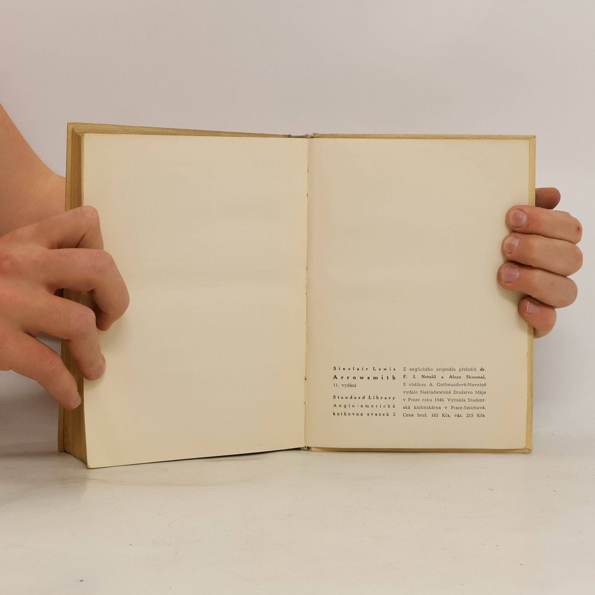 Sinclair Lewis Arrowsmith
