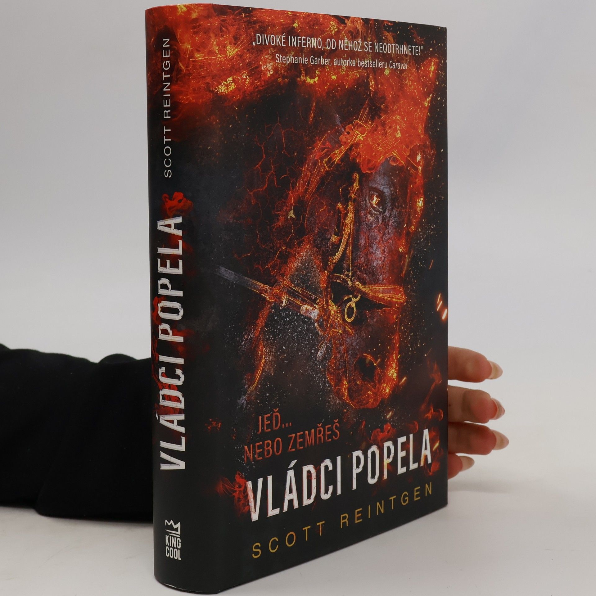 Scott Reintgen Vládci popela