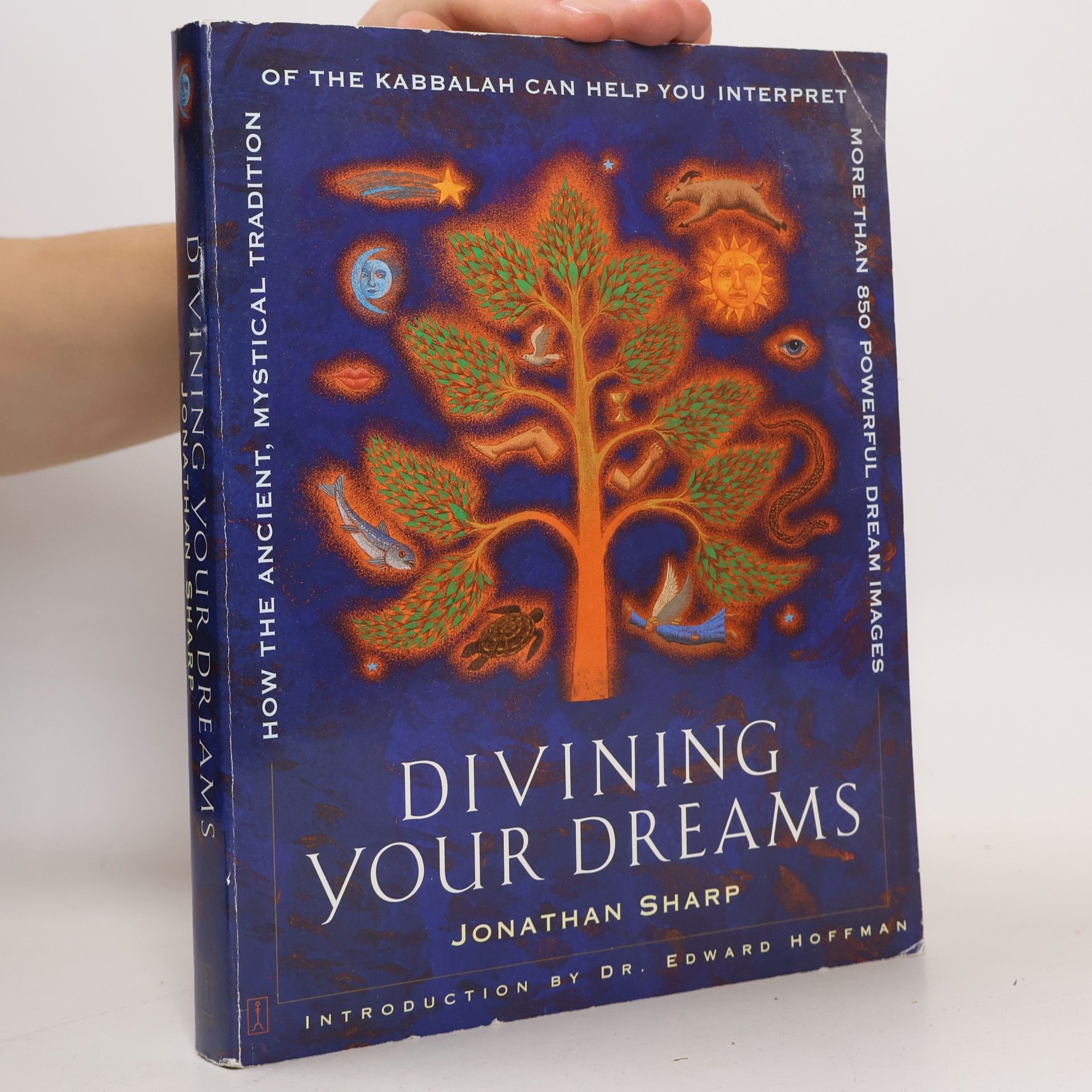 Dr. Edward Hoffman Divining Your Dreams