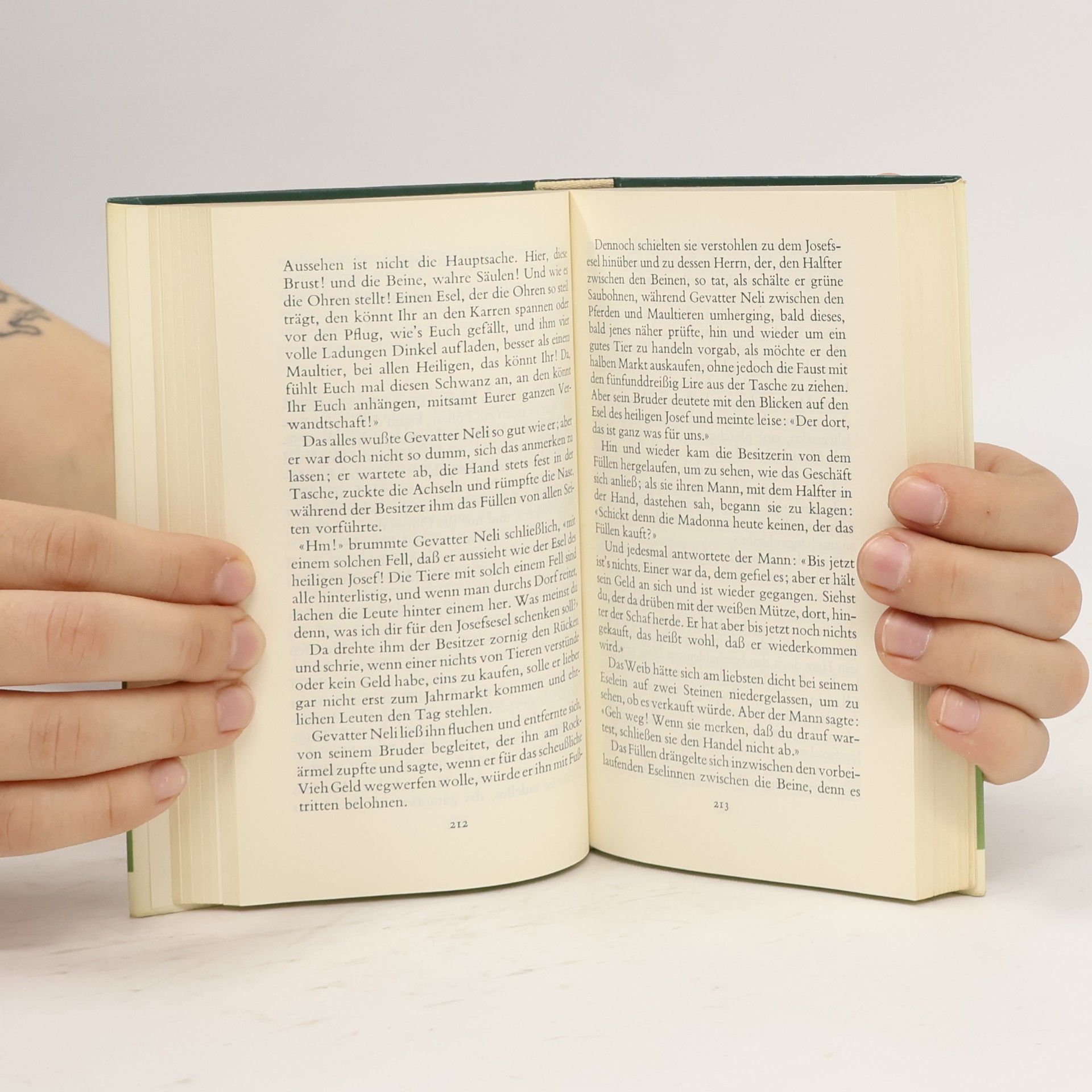 Autorenkollektiv Tiergeschichten
