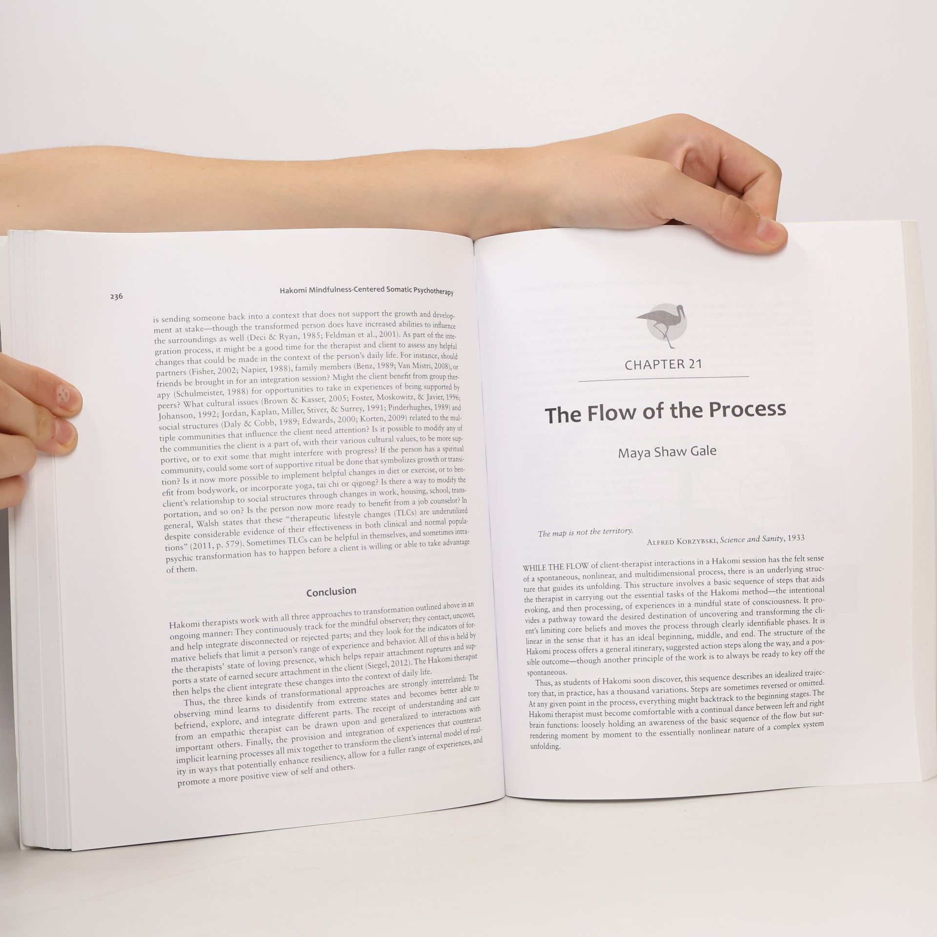 Various authors Hakomi Mindfulness: Centered Somatic Psychotherapy